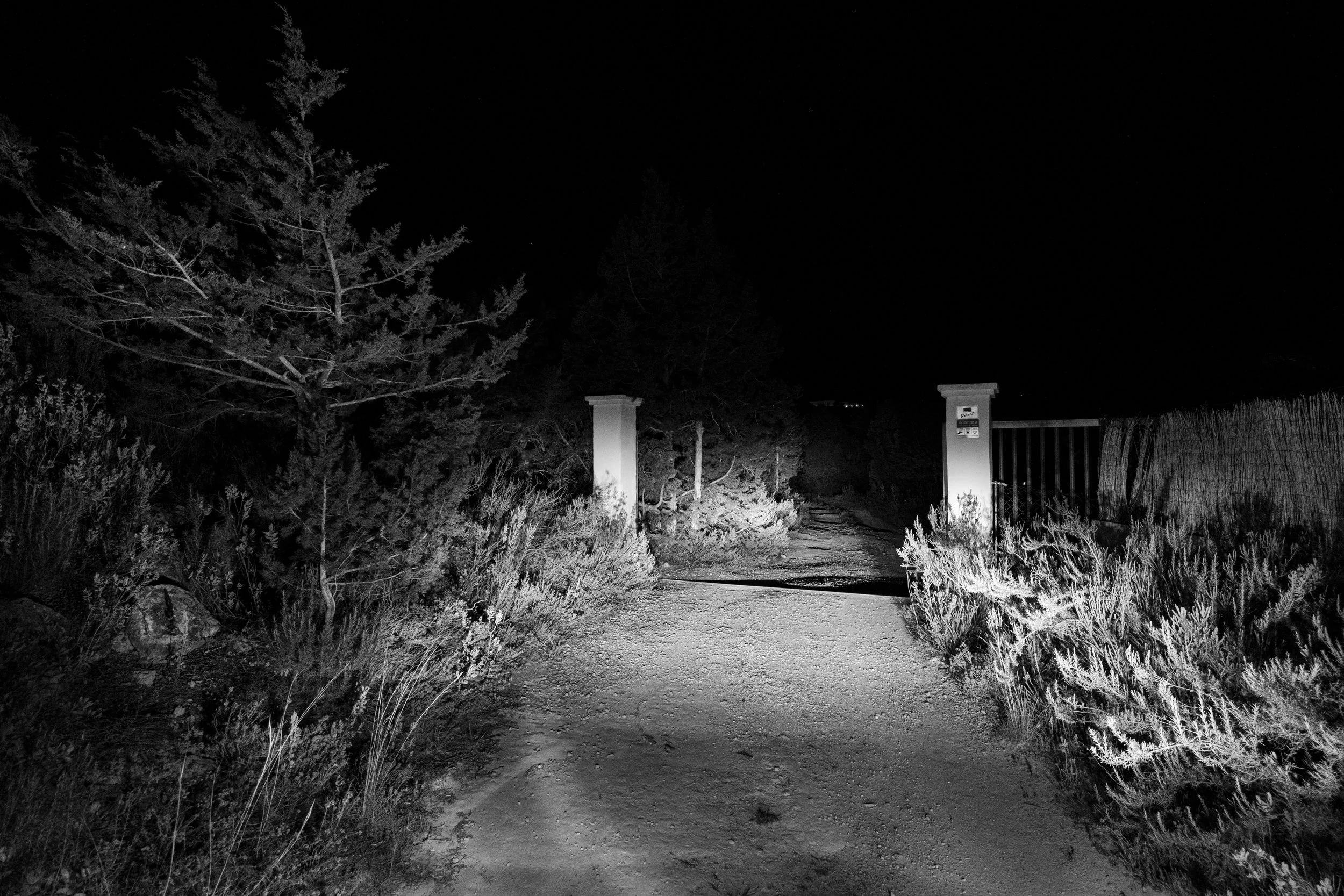 20250615 - A hidden place-37.jpg