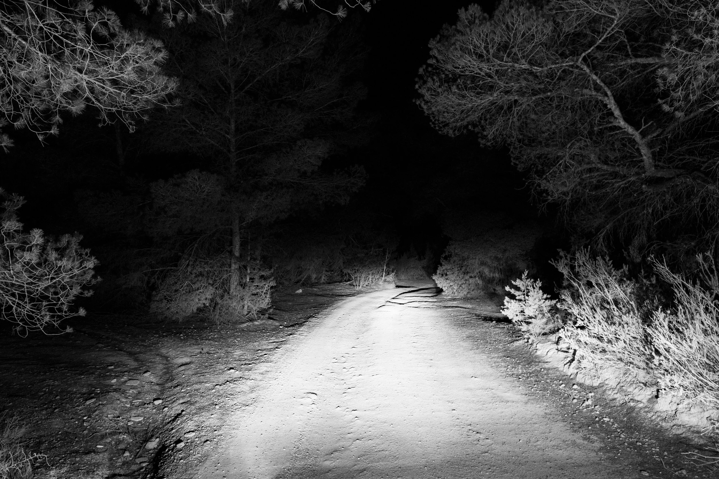 20250615 - A hidden place-19.jpg