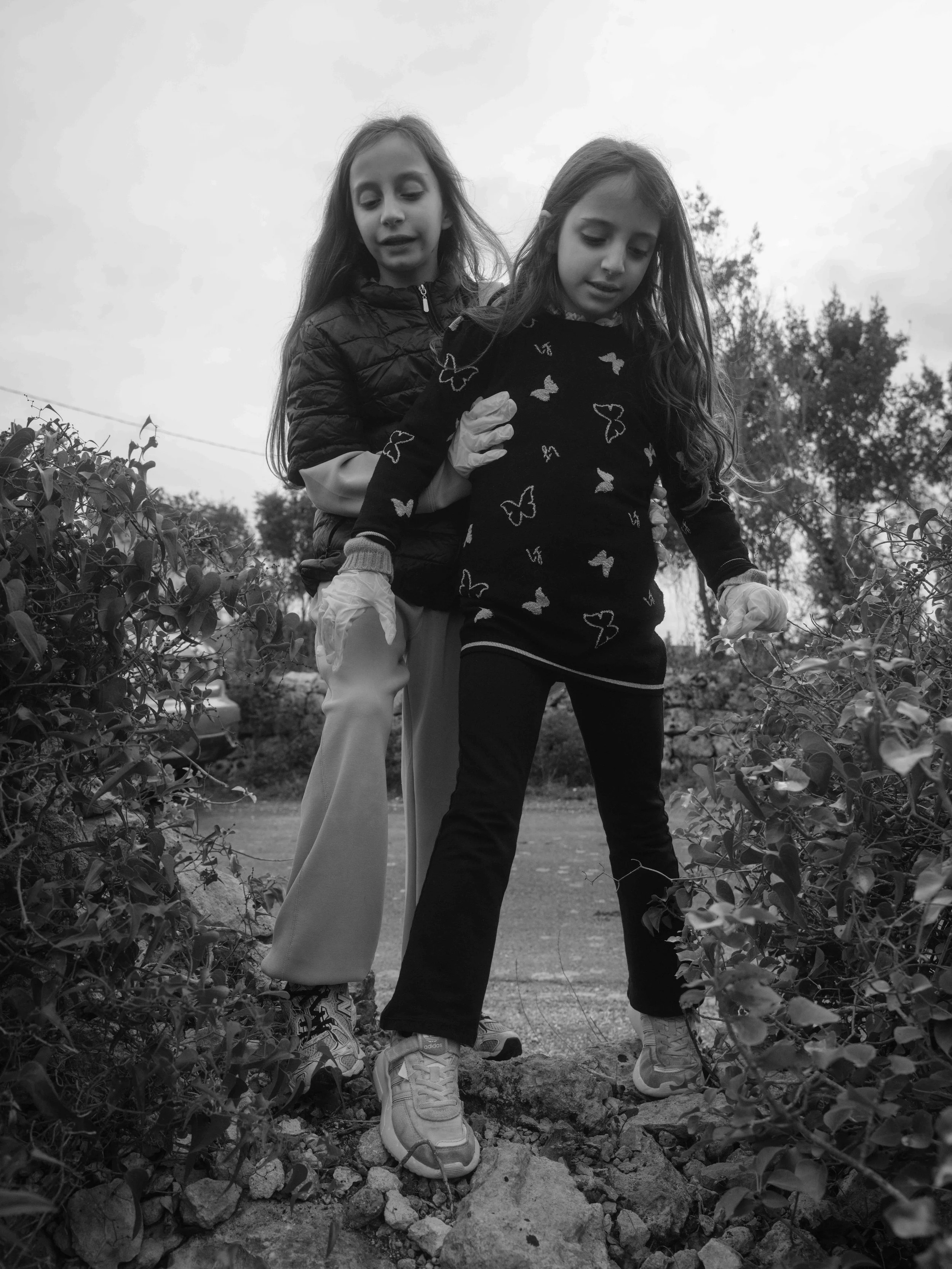 Searching for moss-6949.jpg