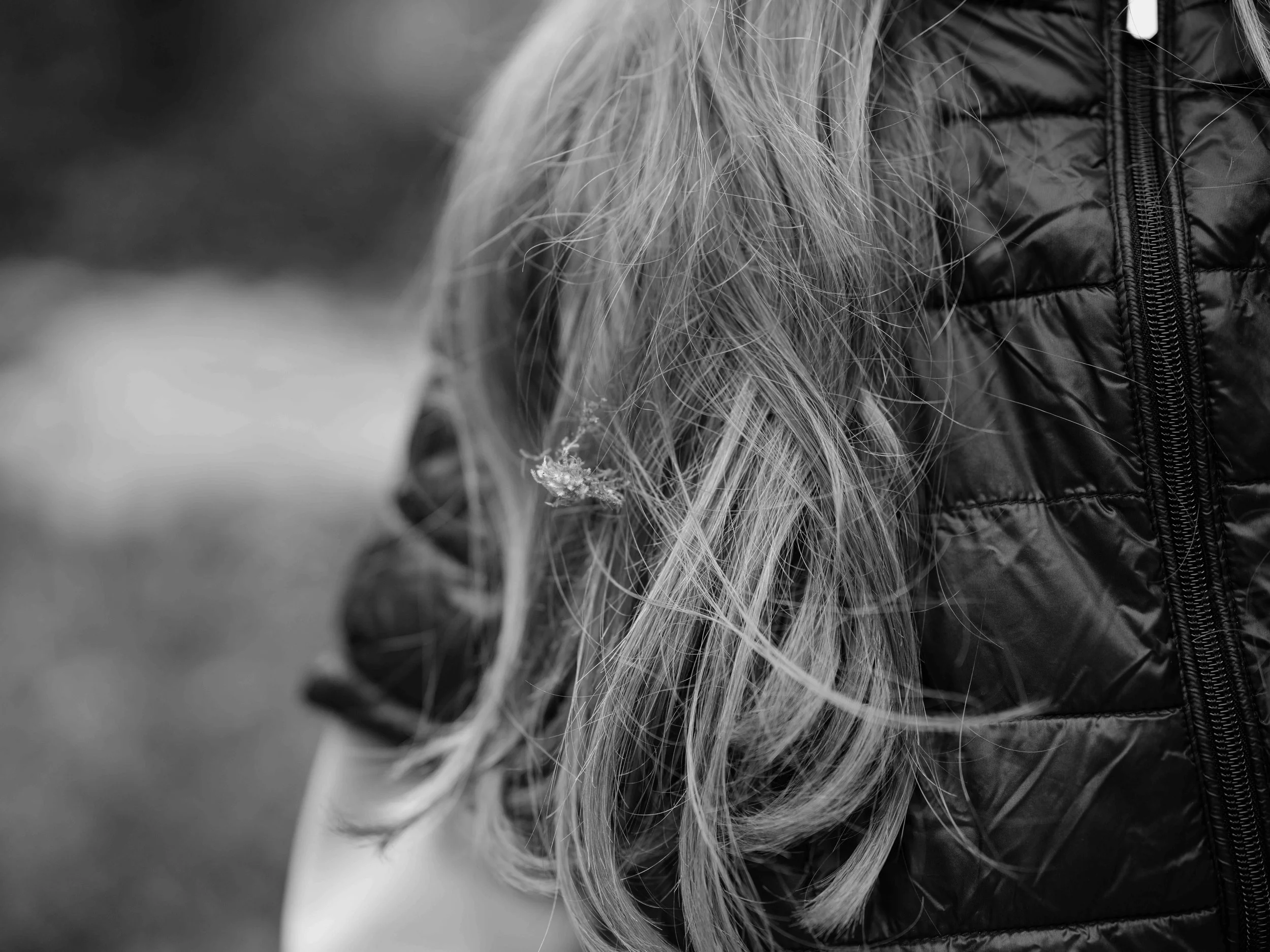 Searching for moss-7020.jpg