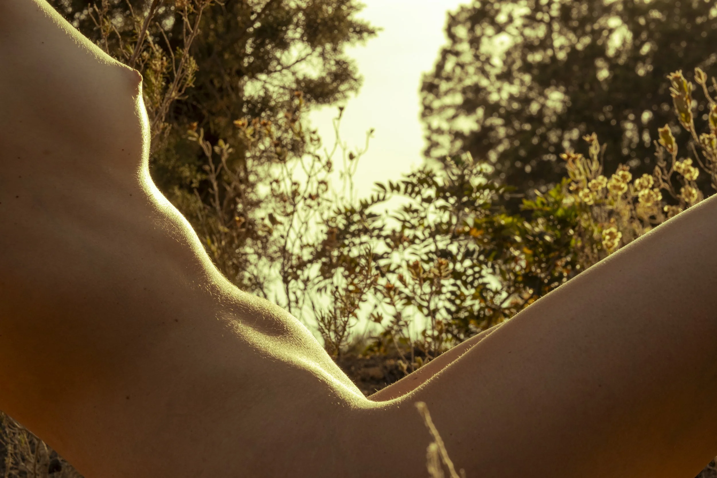 20250615 - A hidden place-36.jpg