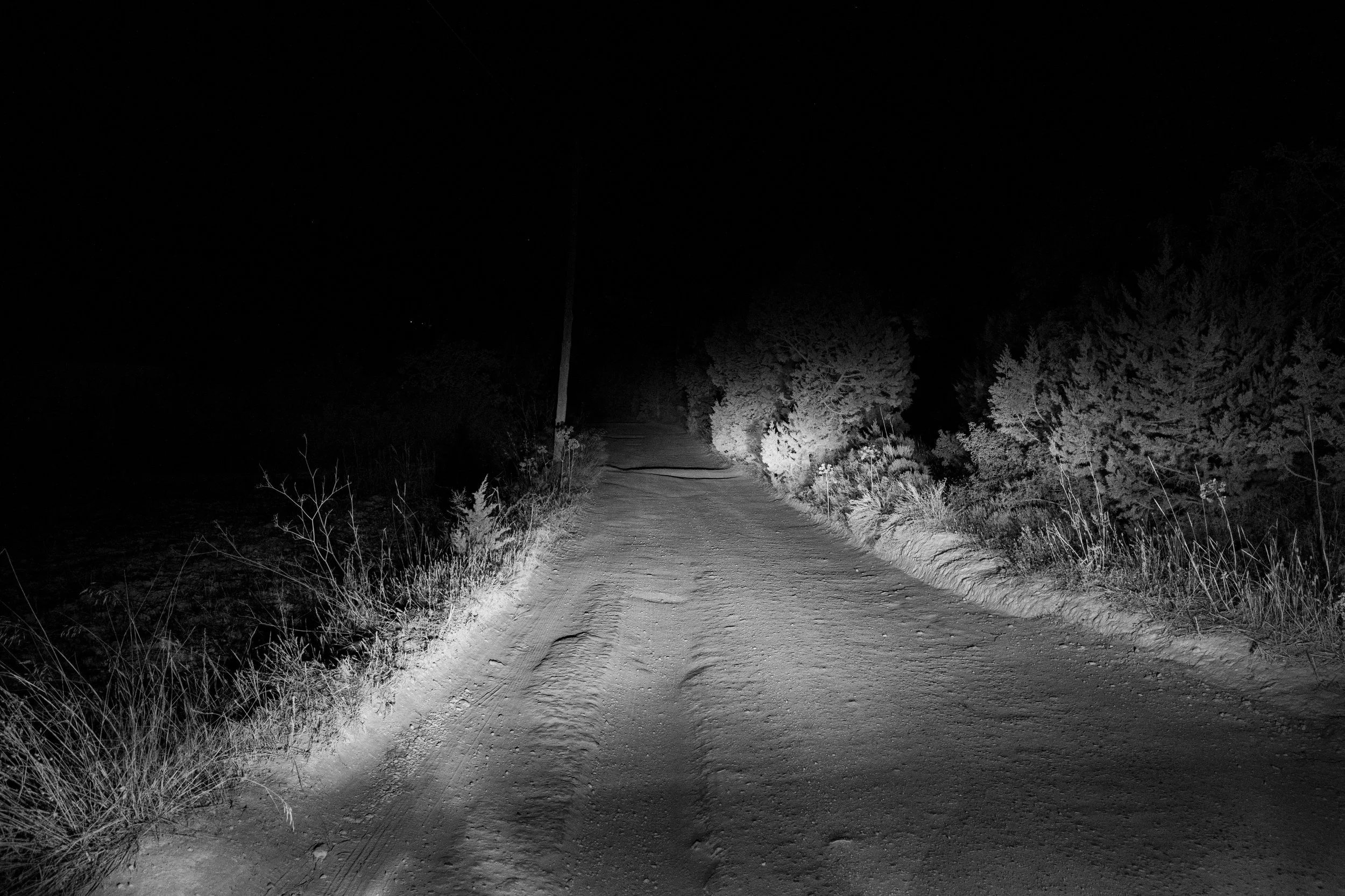 20250615 - A hidden place-7.jpg