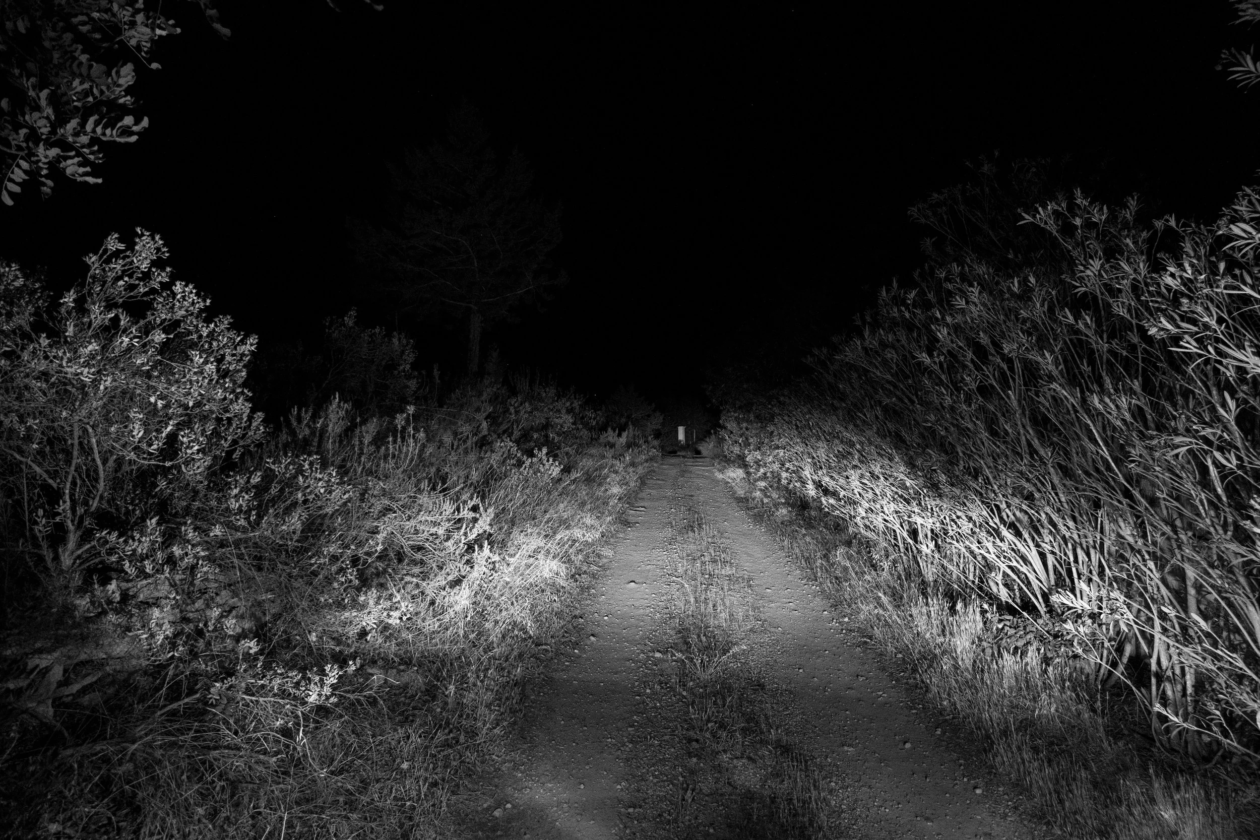 20250615 - A hidden place-34.jpg