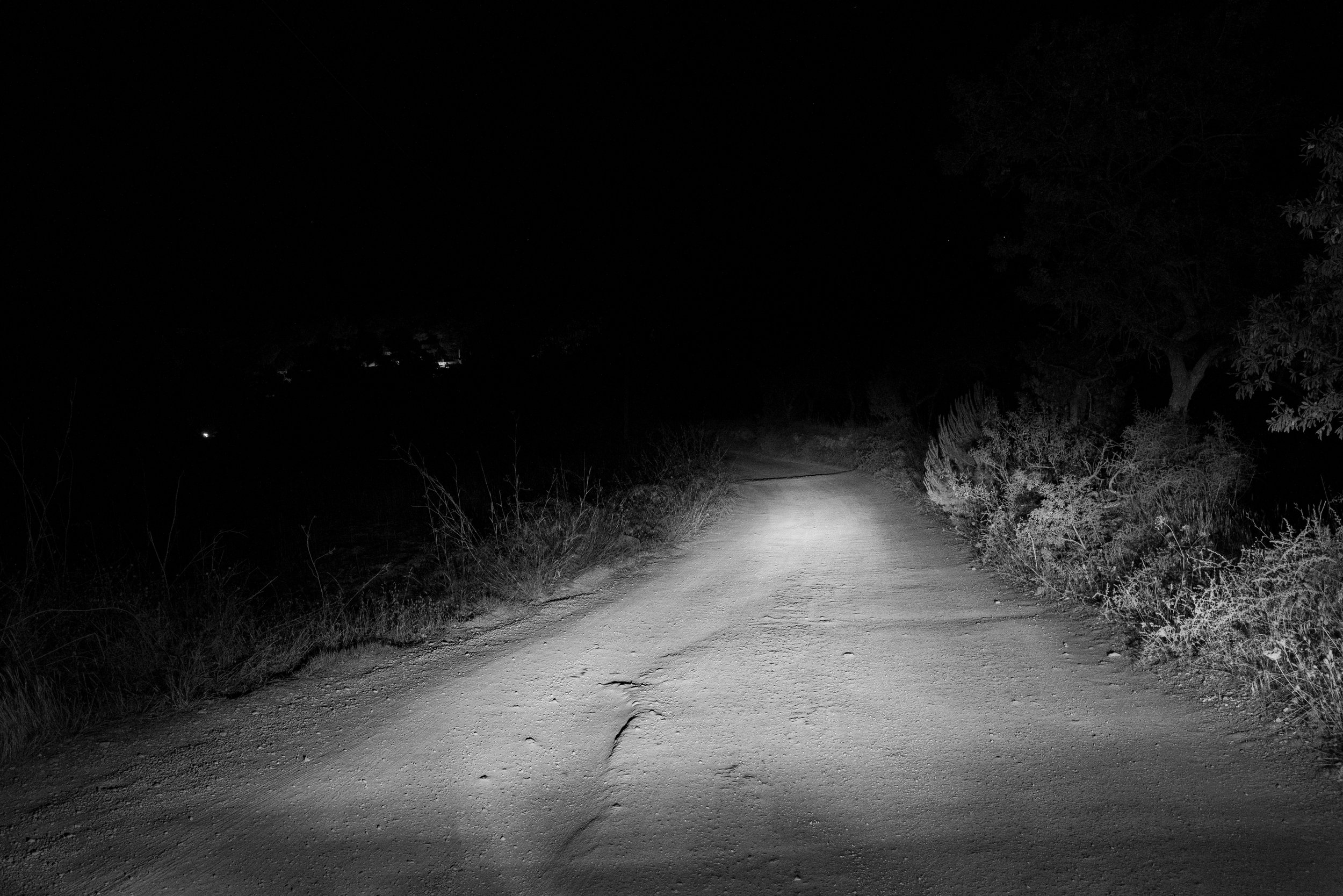 20250615 - A hidden place-4.jpg