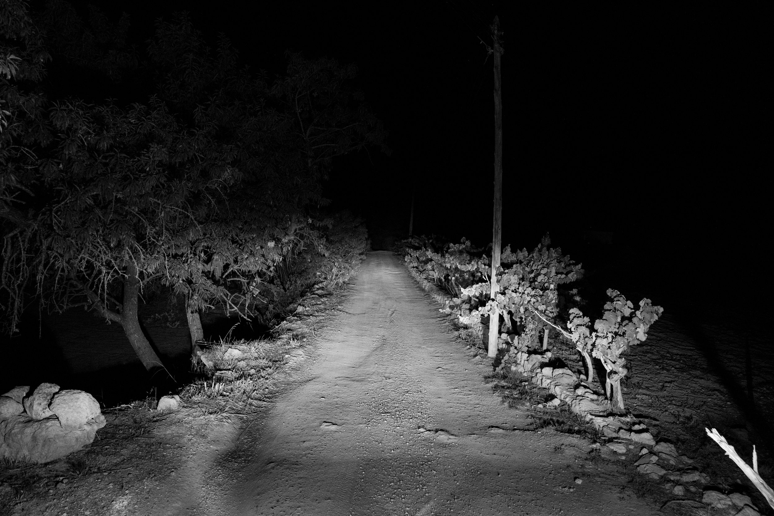 20250615 - A hidden place-16.jpg