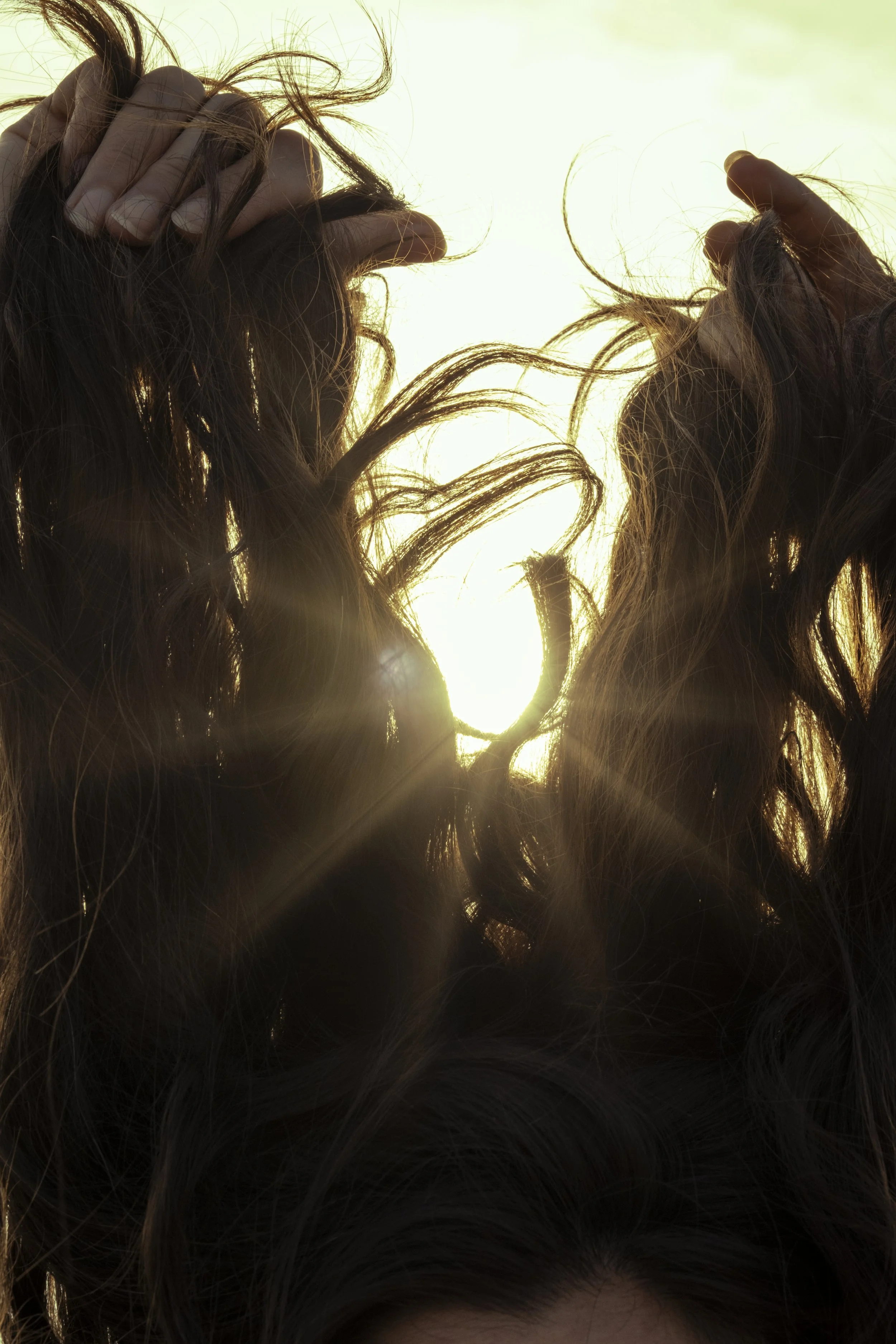 20250615 - A hidden place-30.jpg