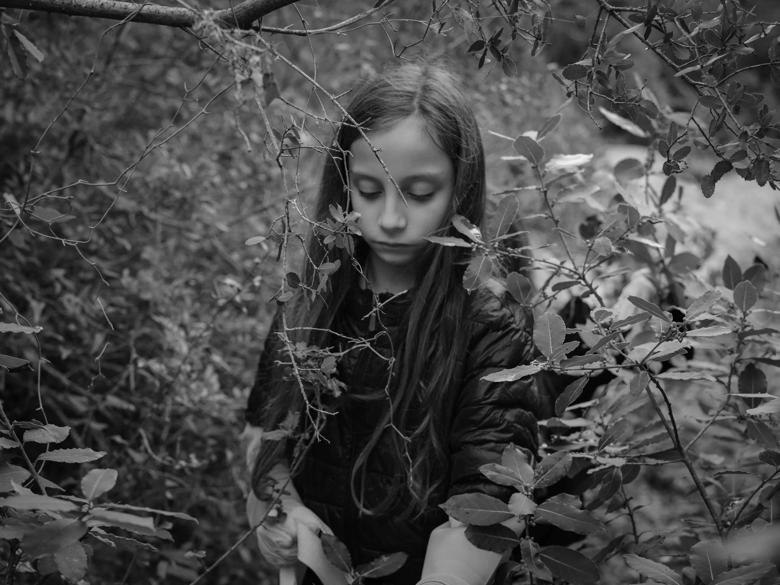 Searching for moss-7040-2.jpg