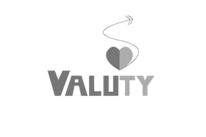 valuty-log.png