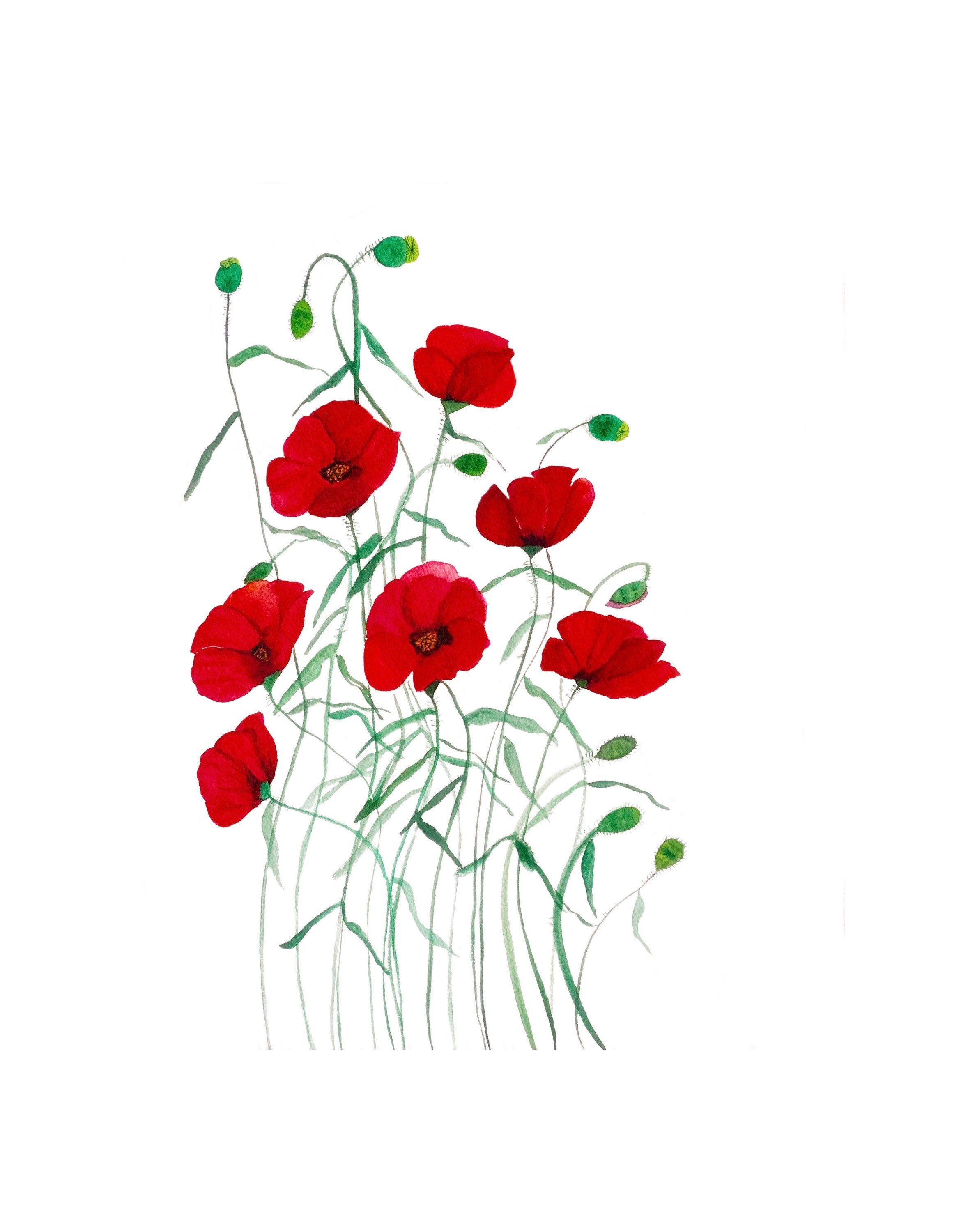 https://i.etsystatic.com/19997803/r/il/13a929/4097385890/il_fullxfull.4097385890_5z64.jpg