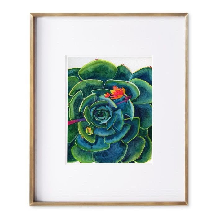 https://i.etsystatic.com/19997803/r/il/4d1e6d/3735037657/il_fullxfull.3735037657_q4op.jpg