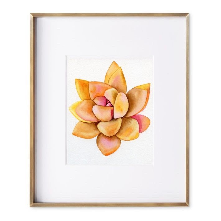 https://i.etsystatic.com/19997803/r/il/c1db26/3687655478/il_fullxfull.3687655478_lymf.jpg