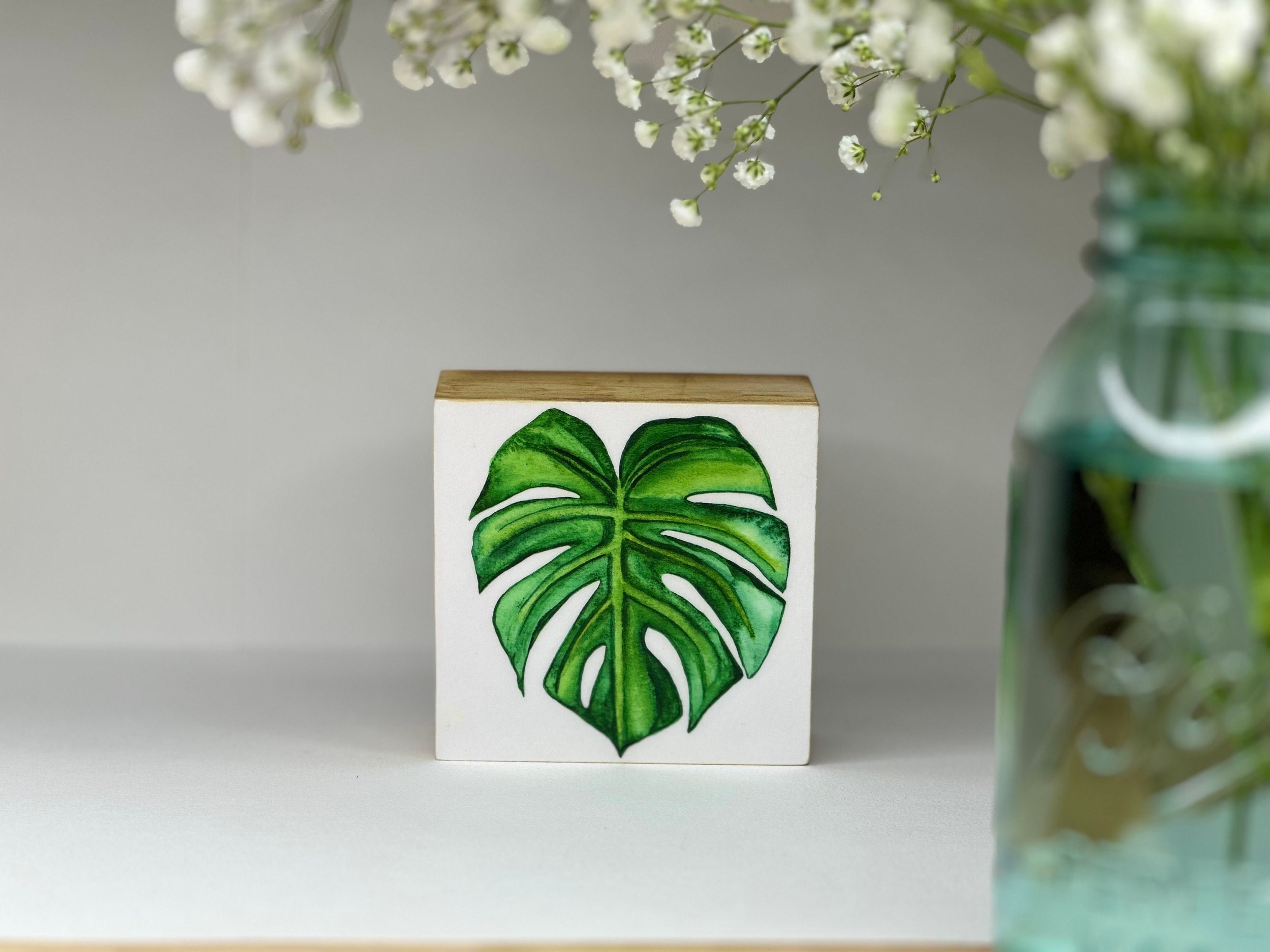 https://i.etsystatic.com/19997803/r/il/73e977/4584895449/il_fullxfull.4584895449_3y92.jpg