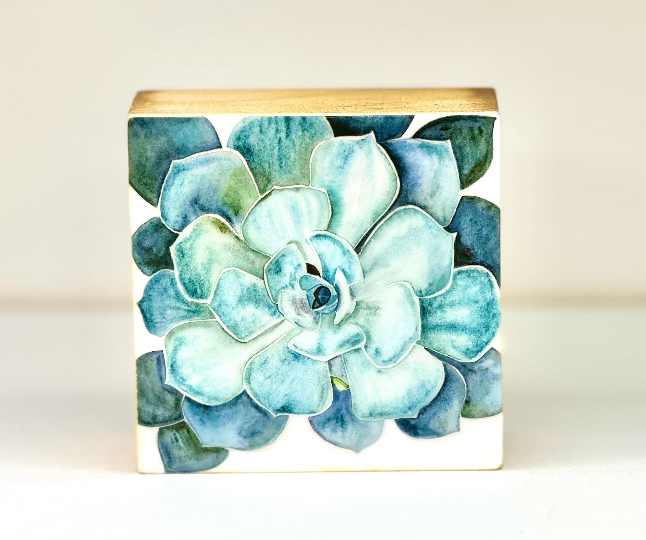 https://i.etsystatic.com/19997803/r/il/1c5d7e/4537411312/il_fullxfull.4537411312_o0jx.jpg