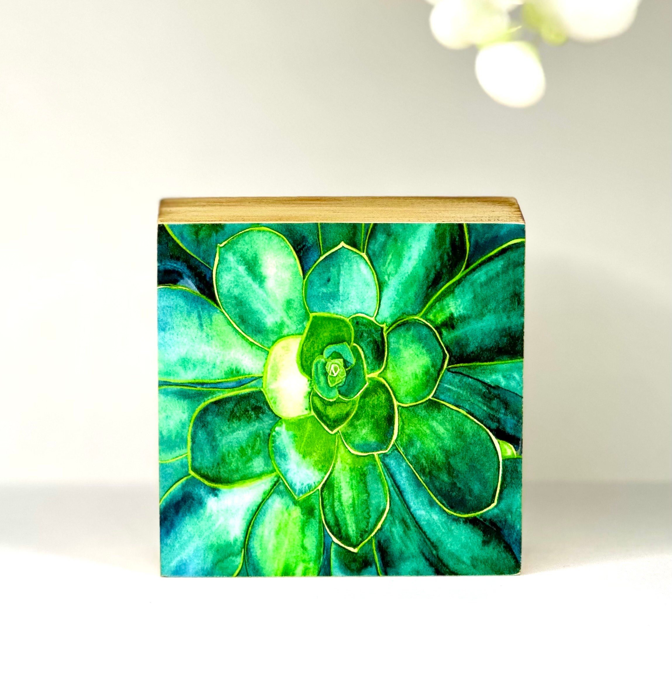 https://i.etsystatic.com/19997803/r/il/fb37b4/4537403568/il_fullxfull.4537403568_hx6g.jpg