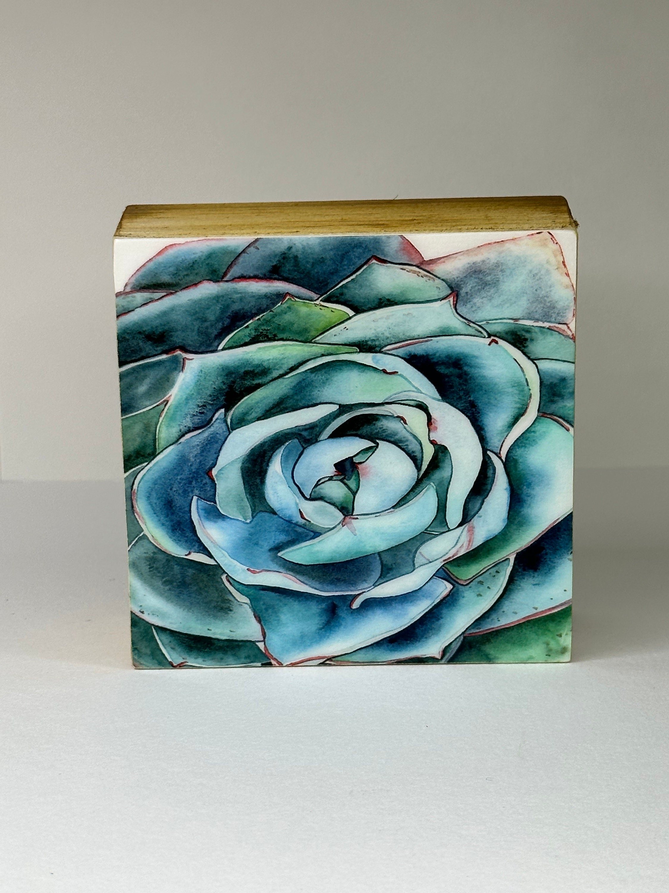 https://i.etsystatic.com/19997803/r/il/3aa3a6/4584619765/il_fullxfull.4584619765_cbru.jpg