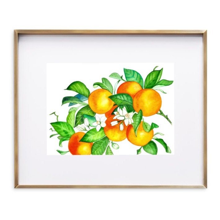 https://i.etsystatic.com/19997803/r/il/467e44/3615768605/il_fullxfull.3615768605_683f.jpg
