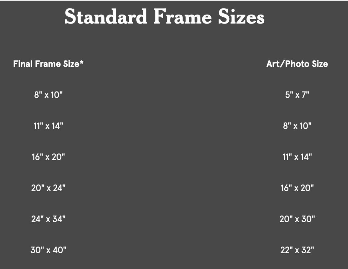 https://i.etsystatic.com/19997803/r/il/2815c1/3614060653/il_fullxfull.3614060653_7xmj.jpg