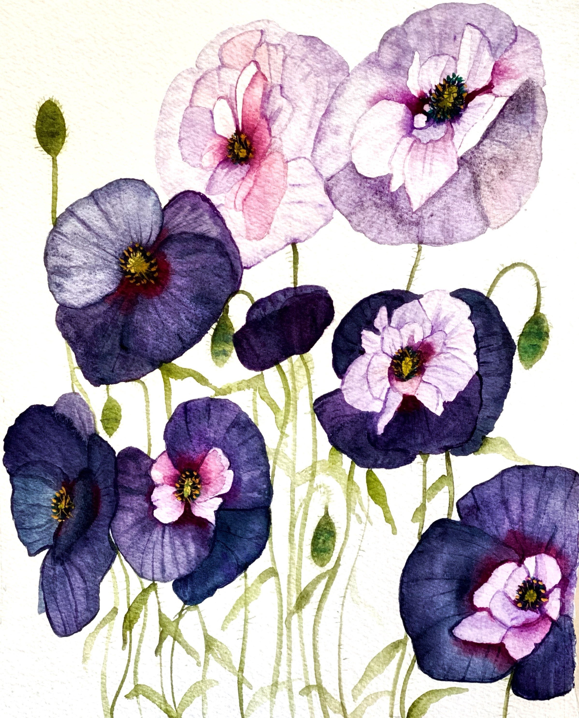 https://i.etsystatic.com/19997803/r/il/79b237/3614414727/il_fullxfull.3614414727_hnjr.jpg