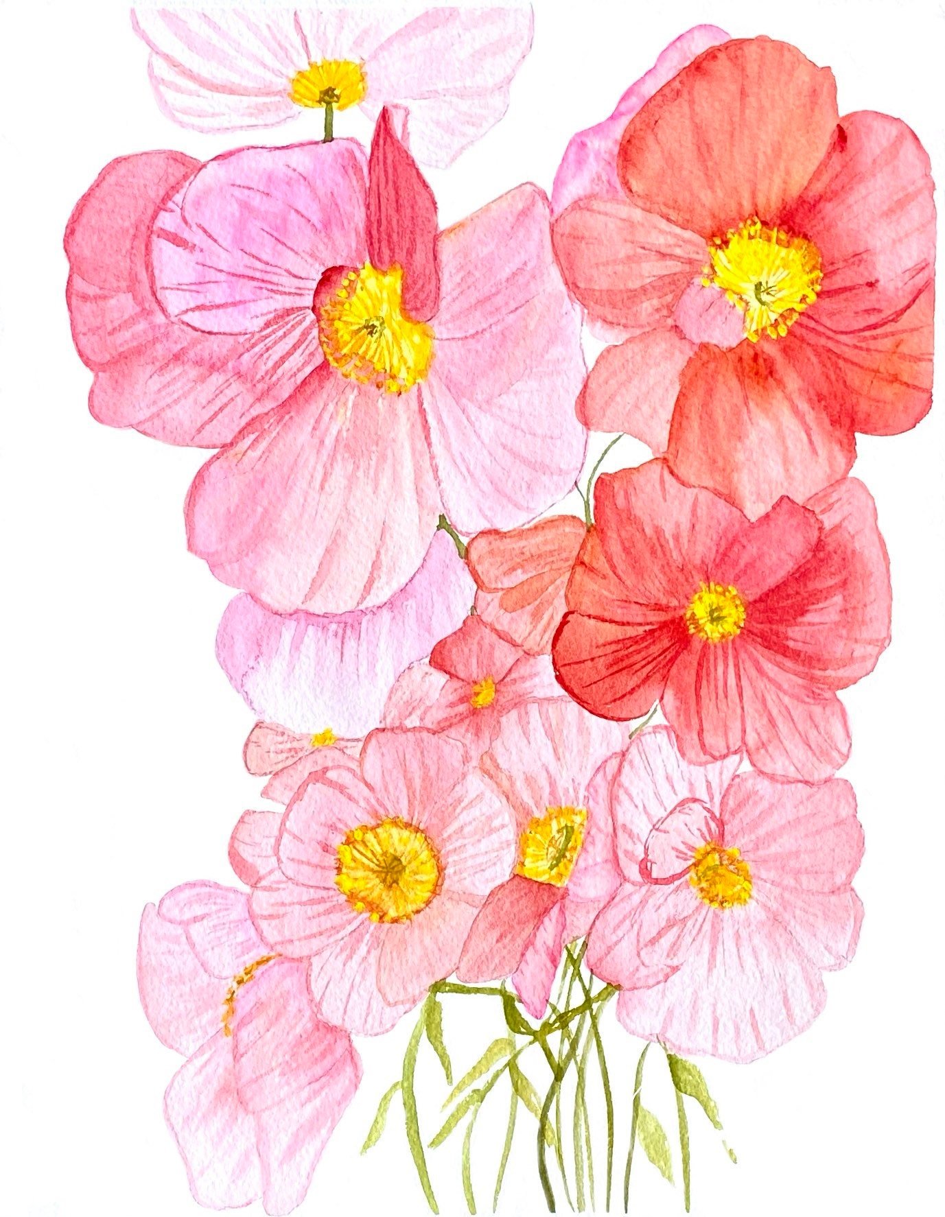 https://i.etsystatic.com/19997803/r/il/2dcd50/4098700424/il_fullxfull.4098700424_omv6.jpg