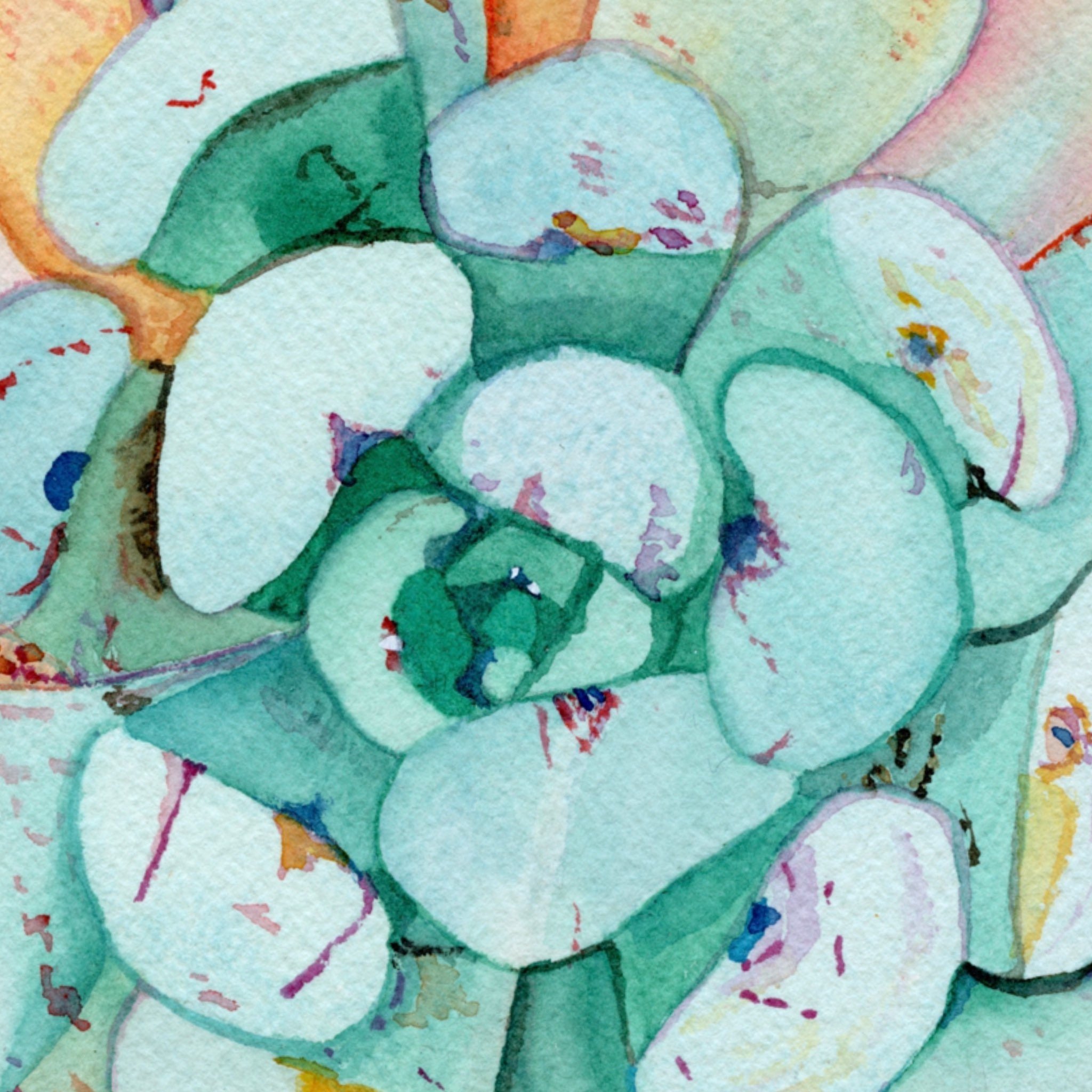 https://i.etsystatic.com/19997803/r/il/c204dd/3689982958/il_fullxfull.3689982958_l952.jpg