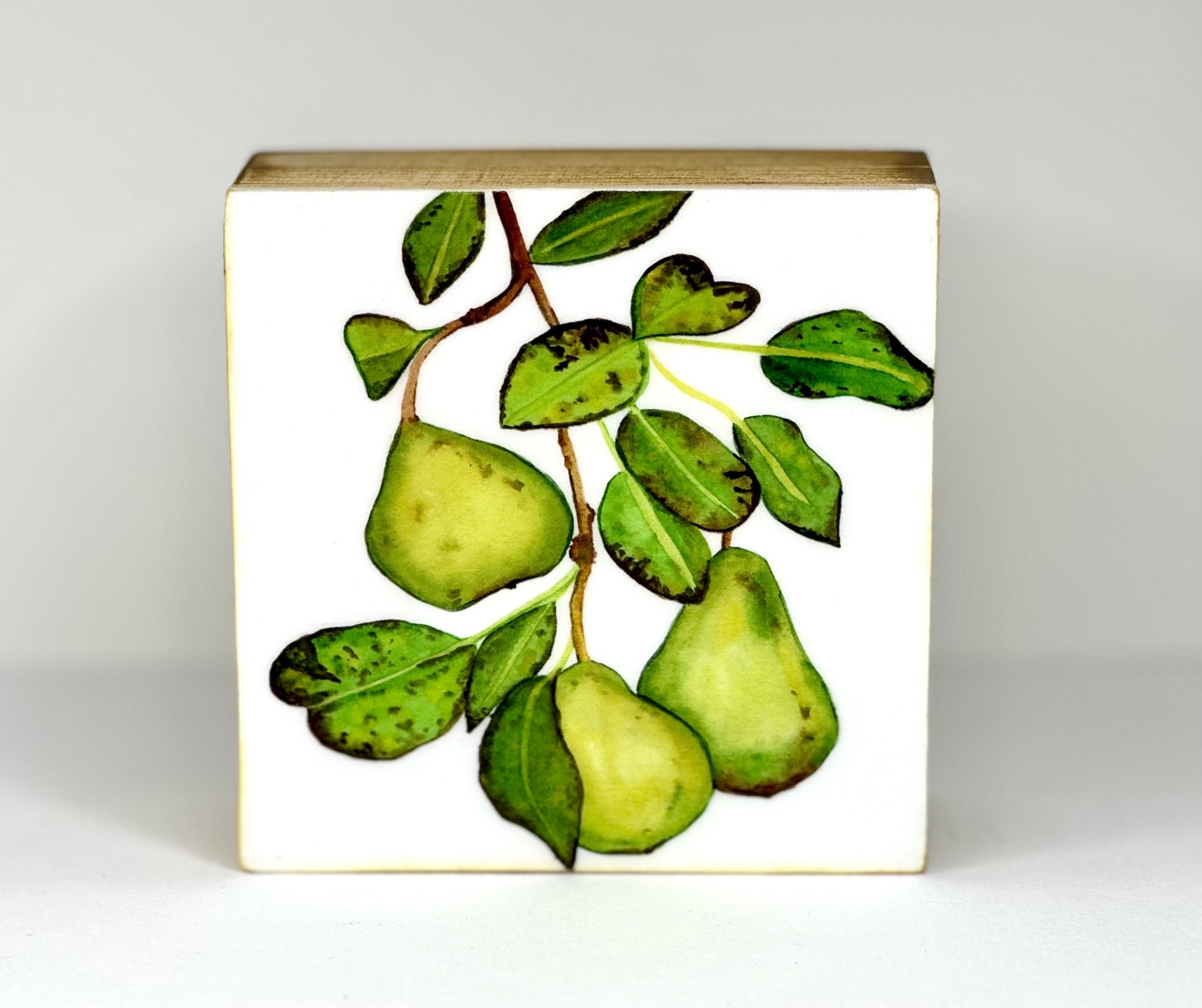 https://i.etsystatic.com/19997803/r/il/3d0dd3/4537496226/il_fullxfull.4537496226_rhtw.jpg
