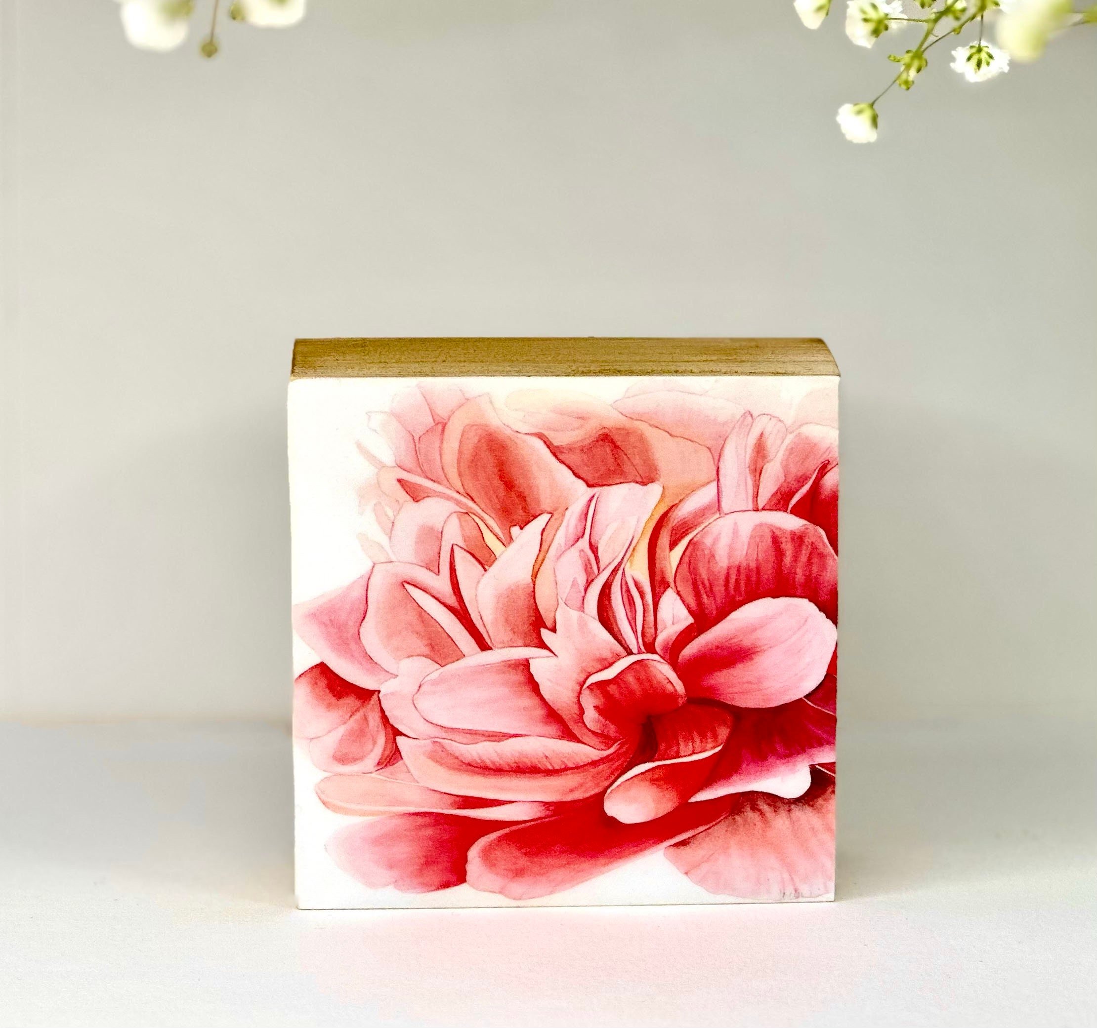 https://i.etsystatic.com/19997803/r/il/7d76ba/4537435700/il_fullxfull.4537435700_10a1.jpg