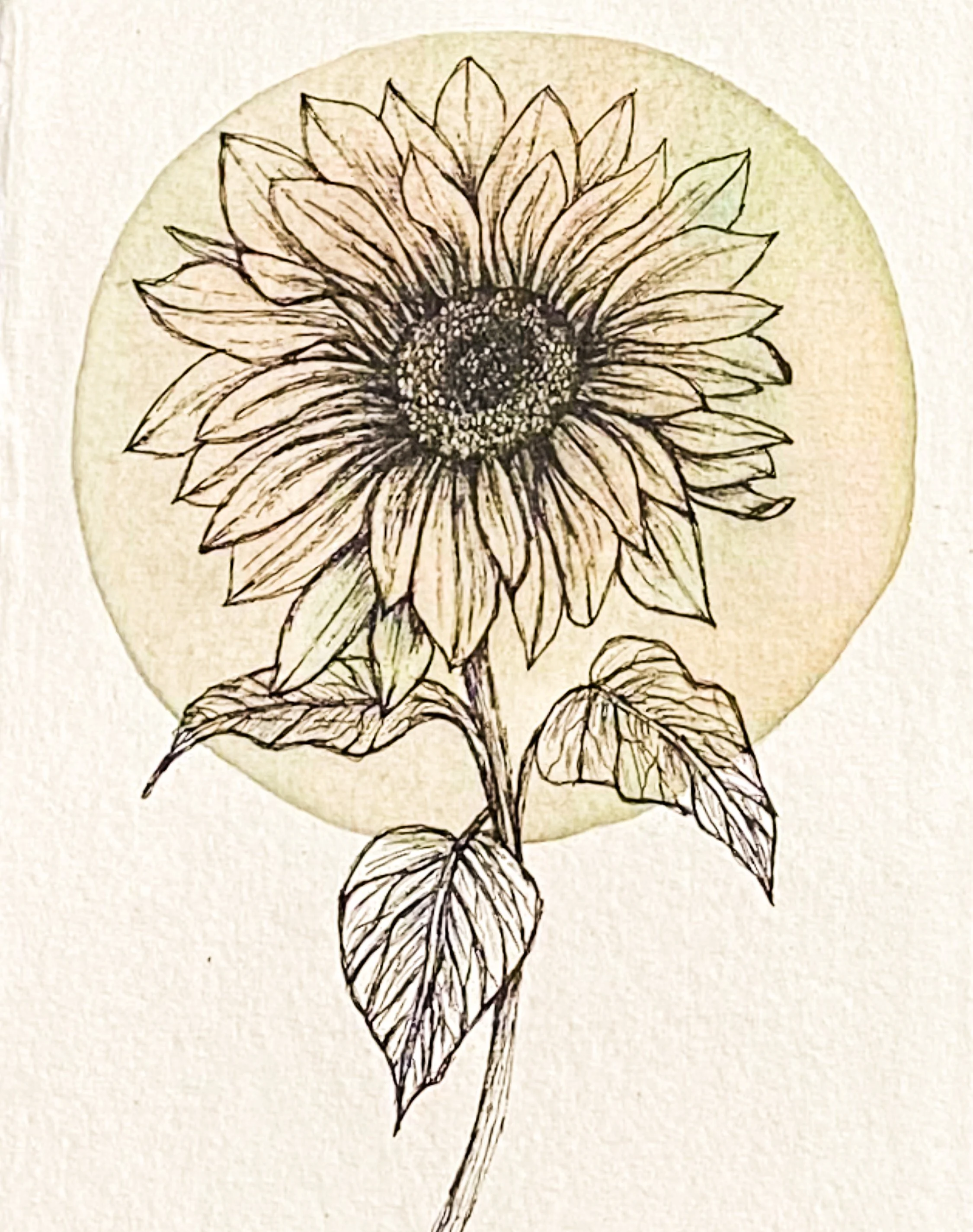 Coffee Sunflower Framed 8x10