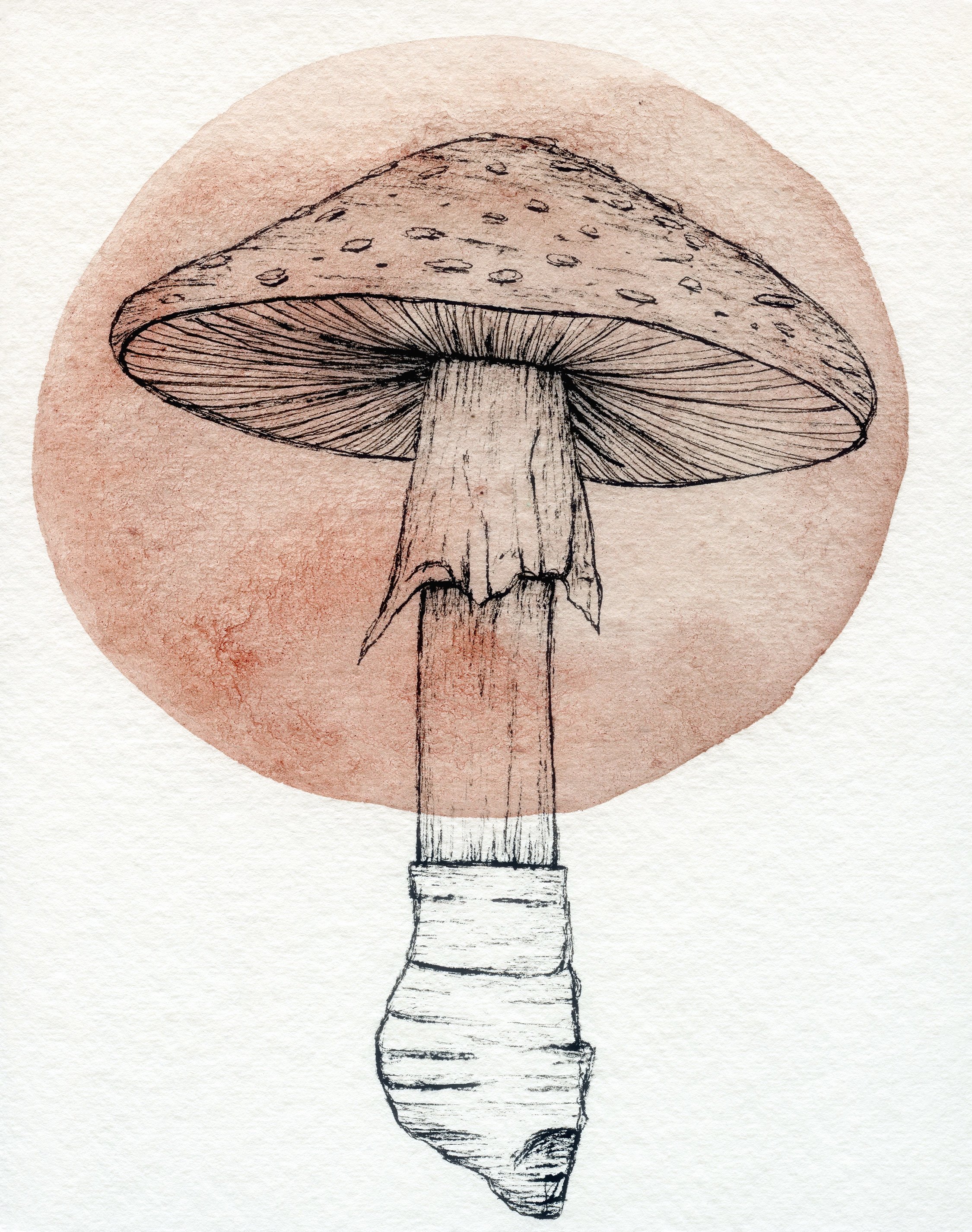 Forest Alchemy Print
