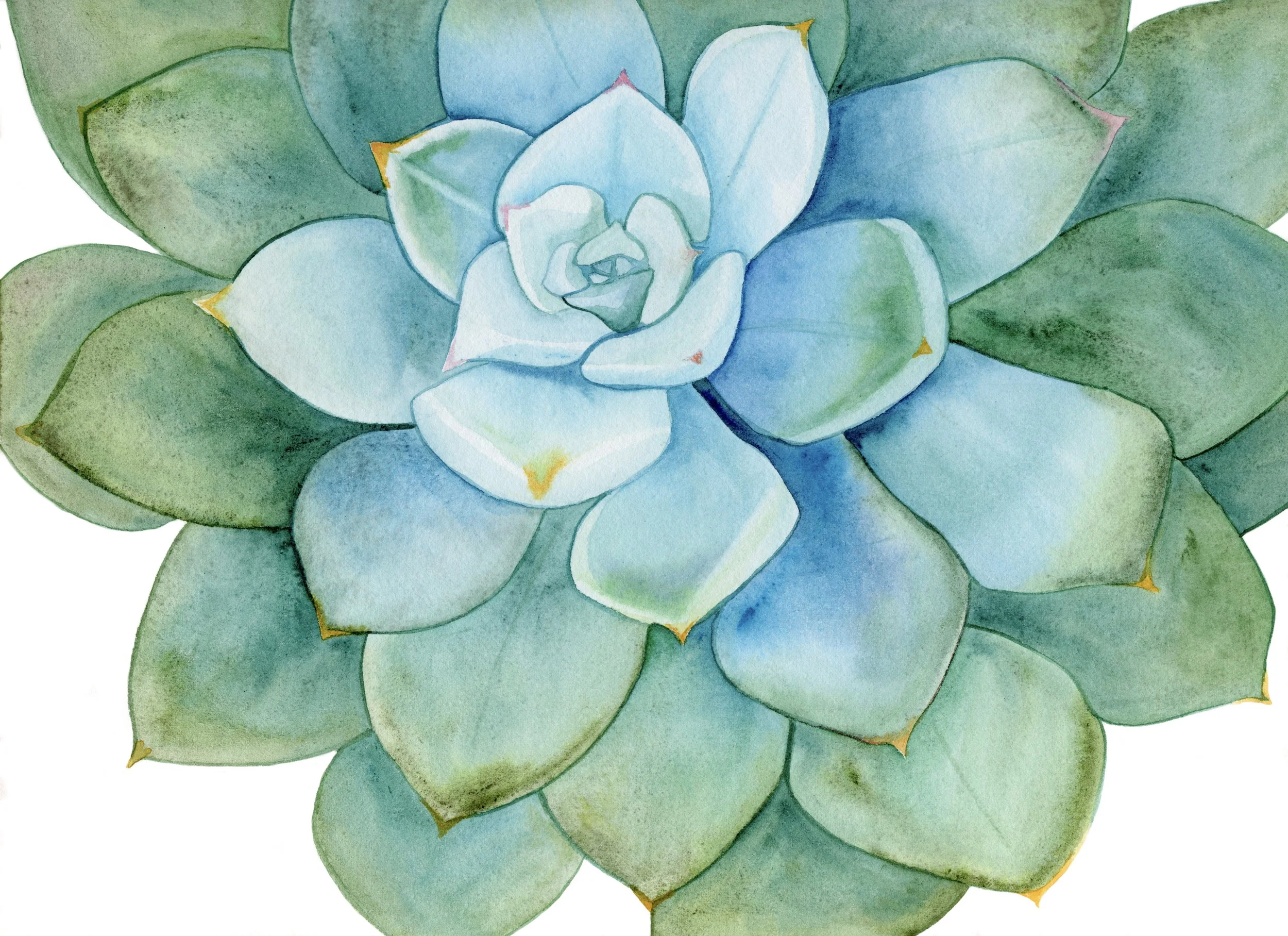 Watercolor painting of a succulent plant with green and blue leaves.