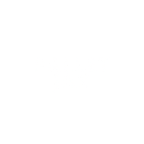 Pallet Jax