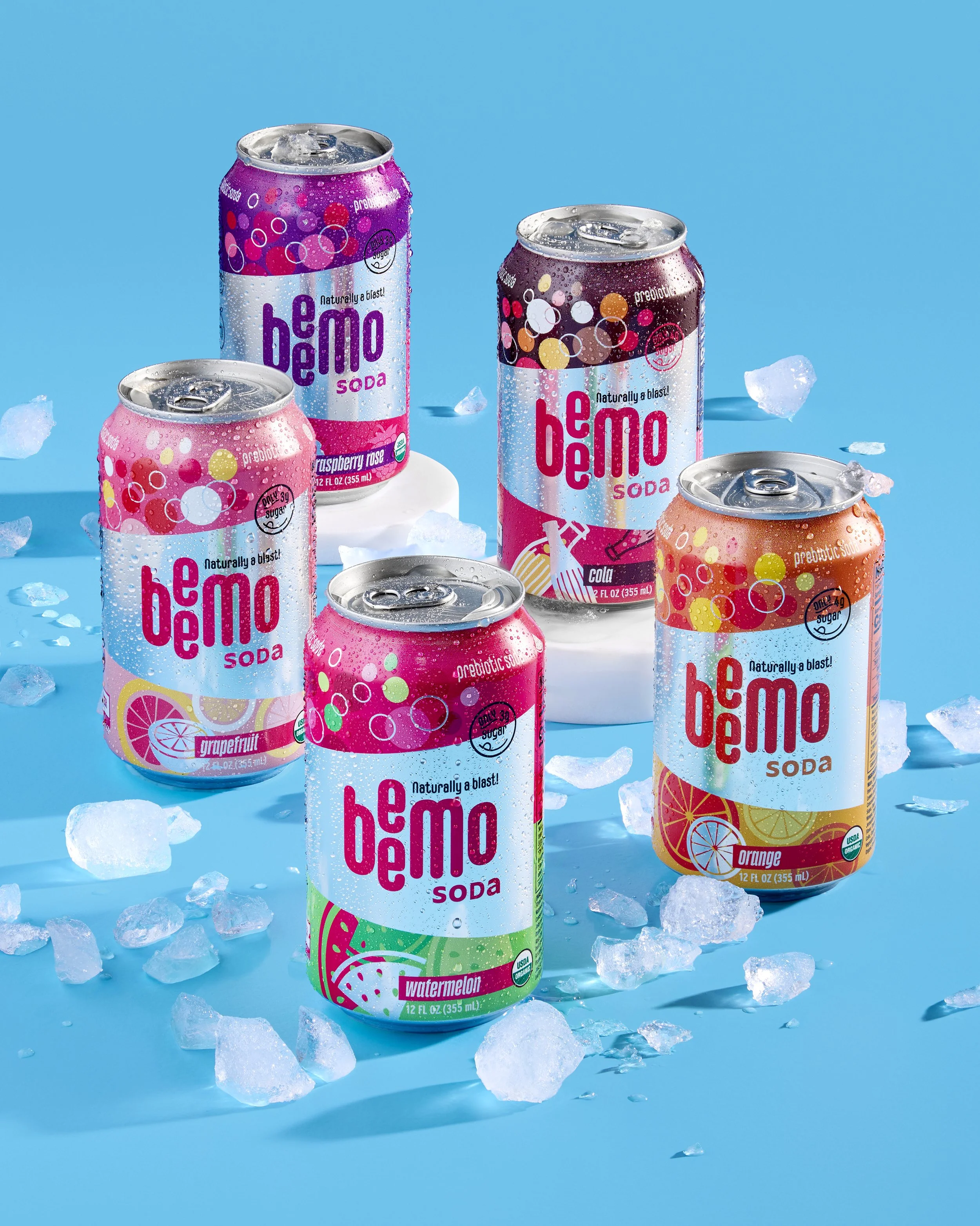 Meister_15709 WEB.jpg