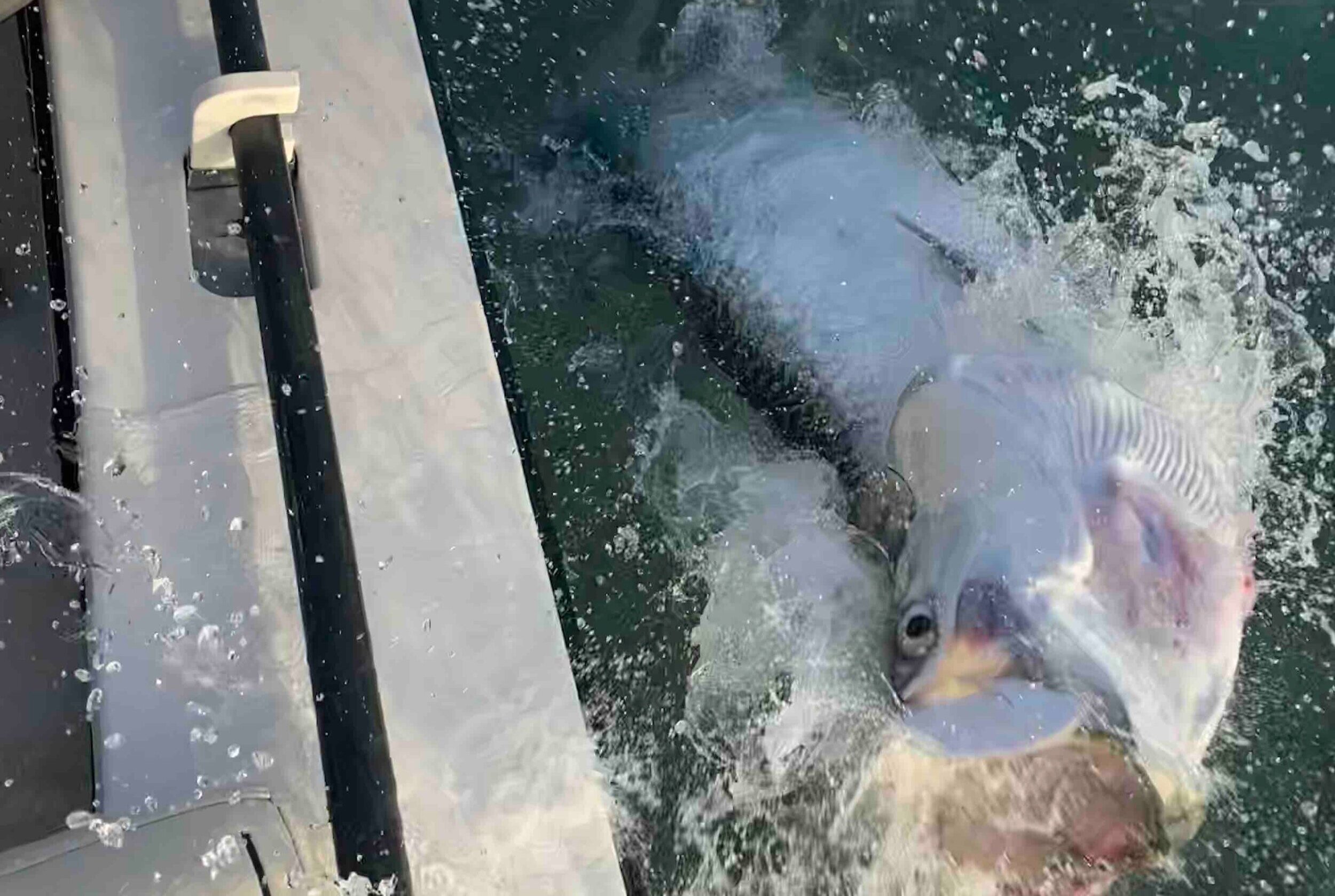 Islamorada Fishing Report