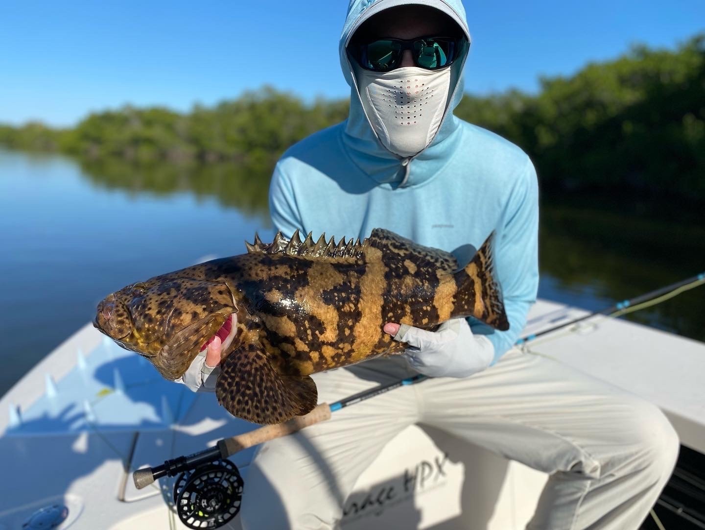 goliath grouper on fly 2022.jpg