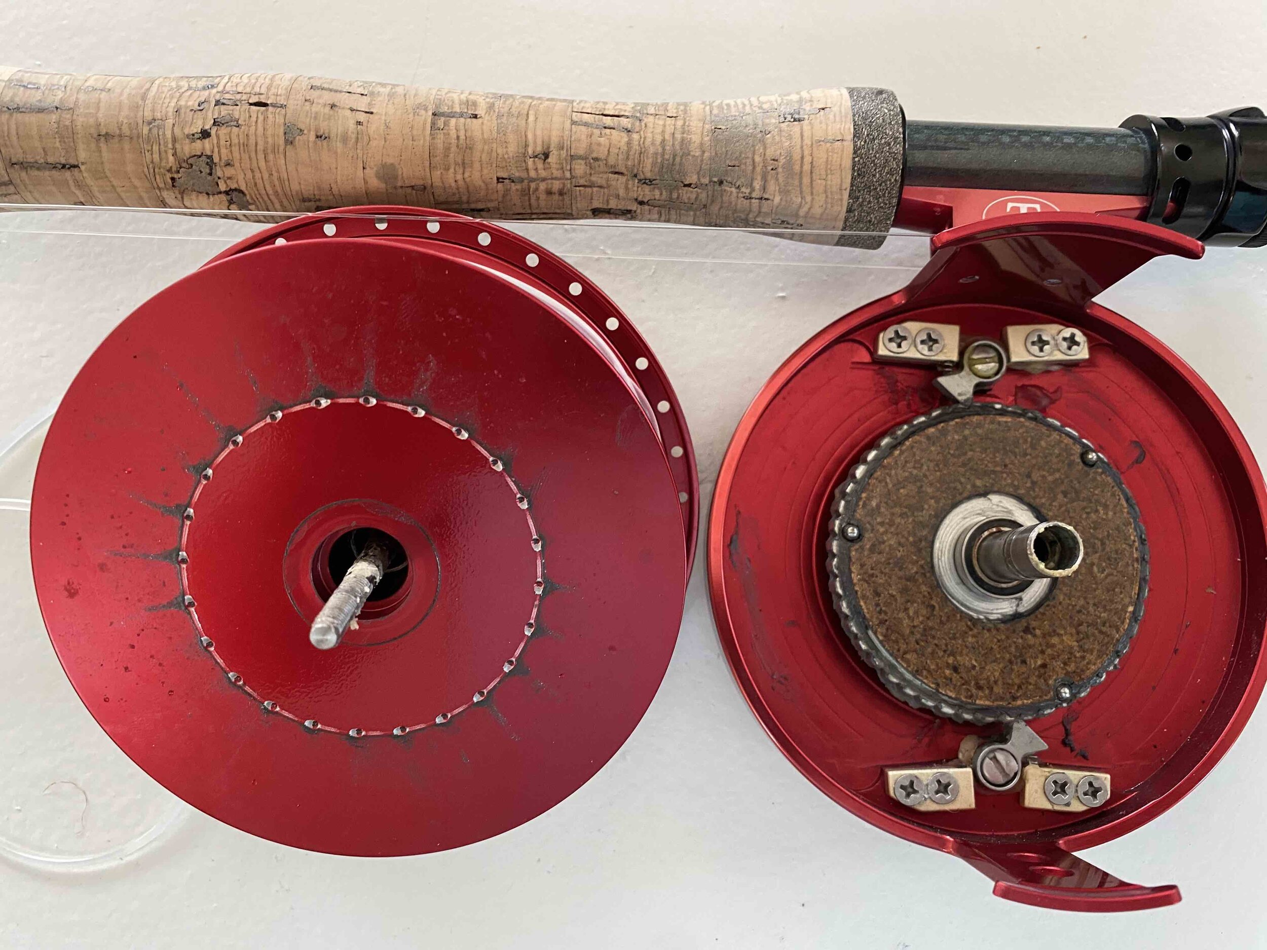 Choosing a Saltwater Fly Fishing Reel — Moon Cast Anglers