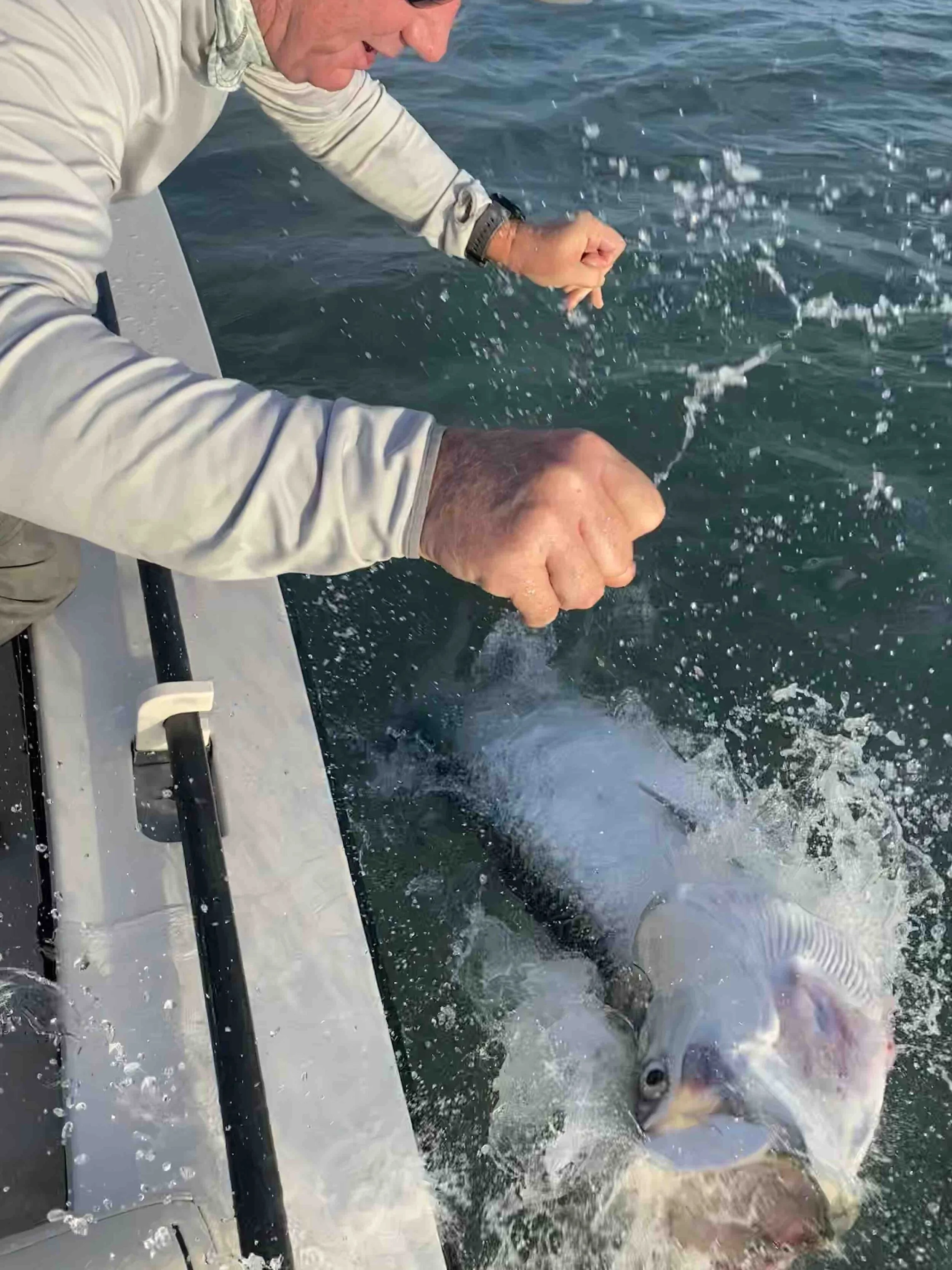 Fly Fishing for Tarpon