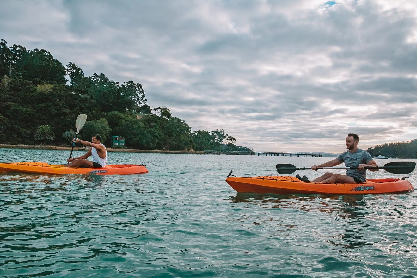 What to do on Kawau