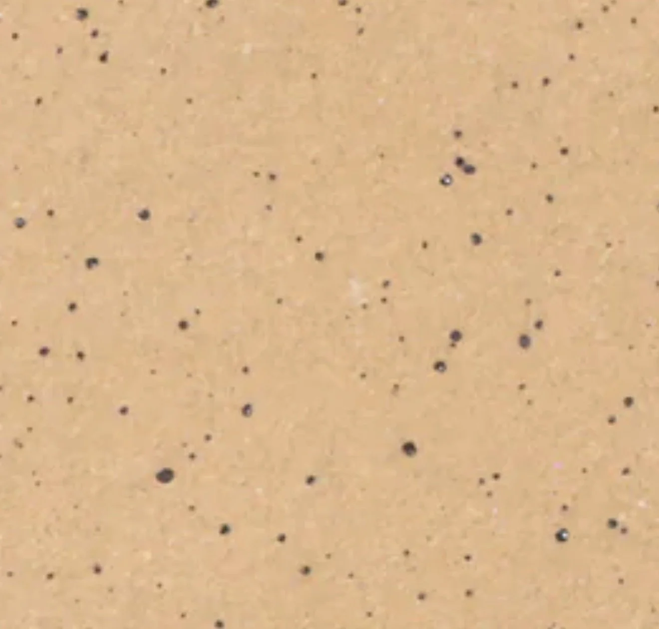 Speckled Buff