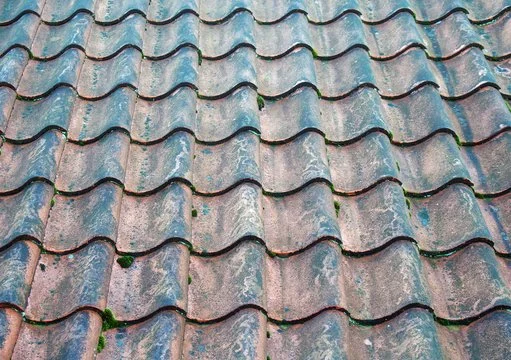 Close-up of weathered, cracked ceramic roof tiles with moss growth.