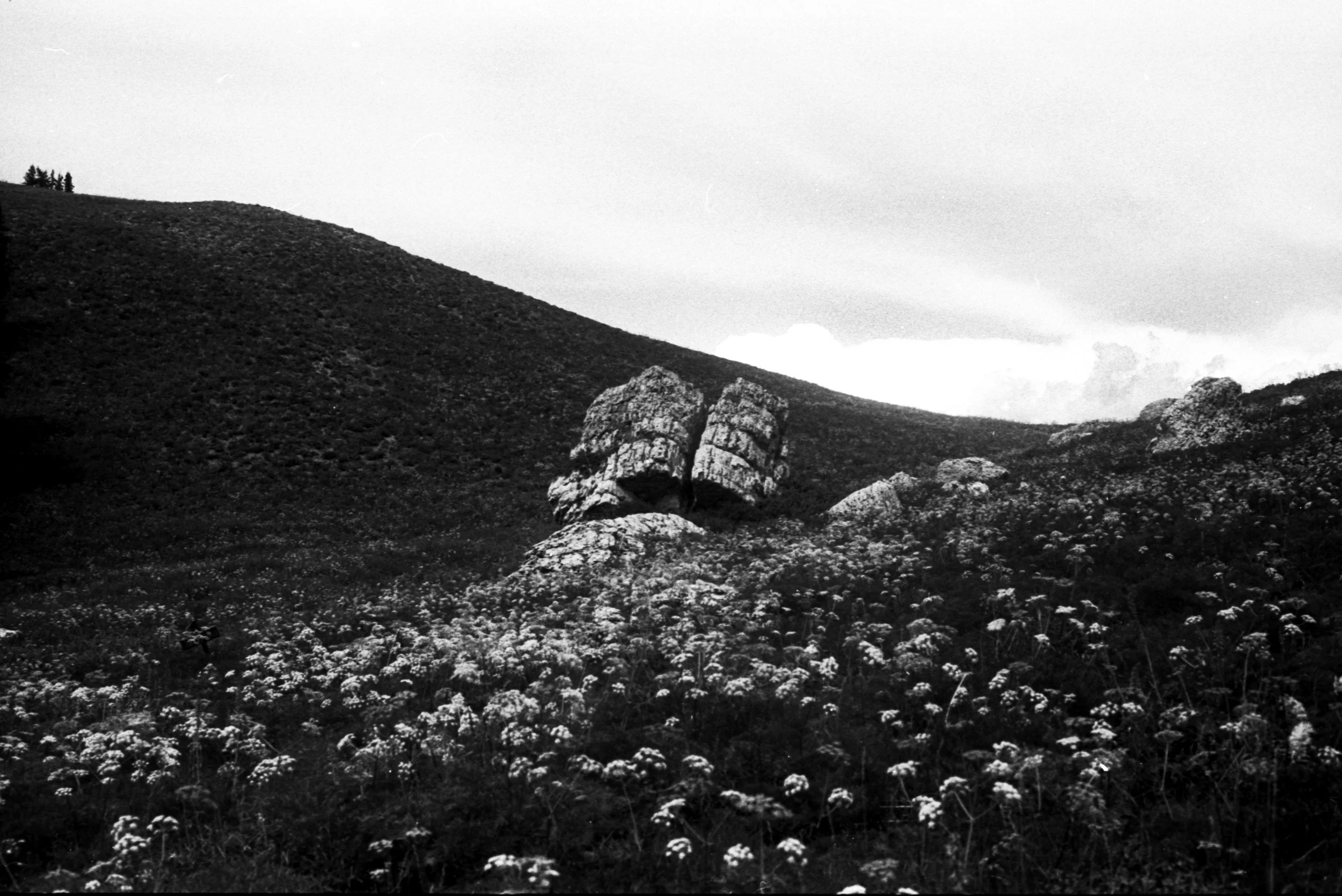 Image 4 (2)-Edit.jpg