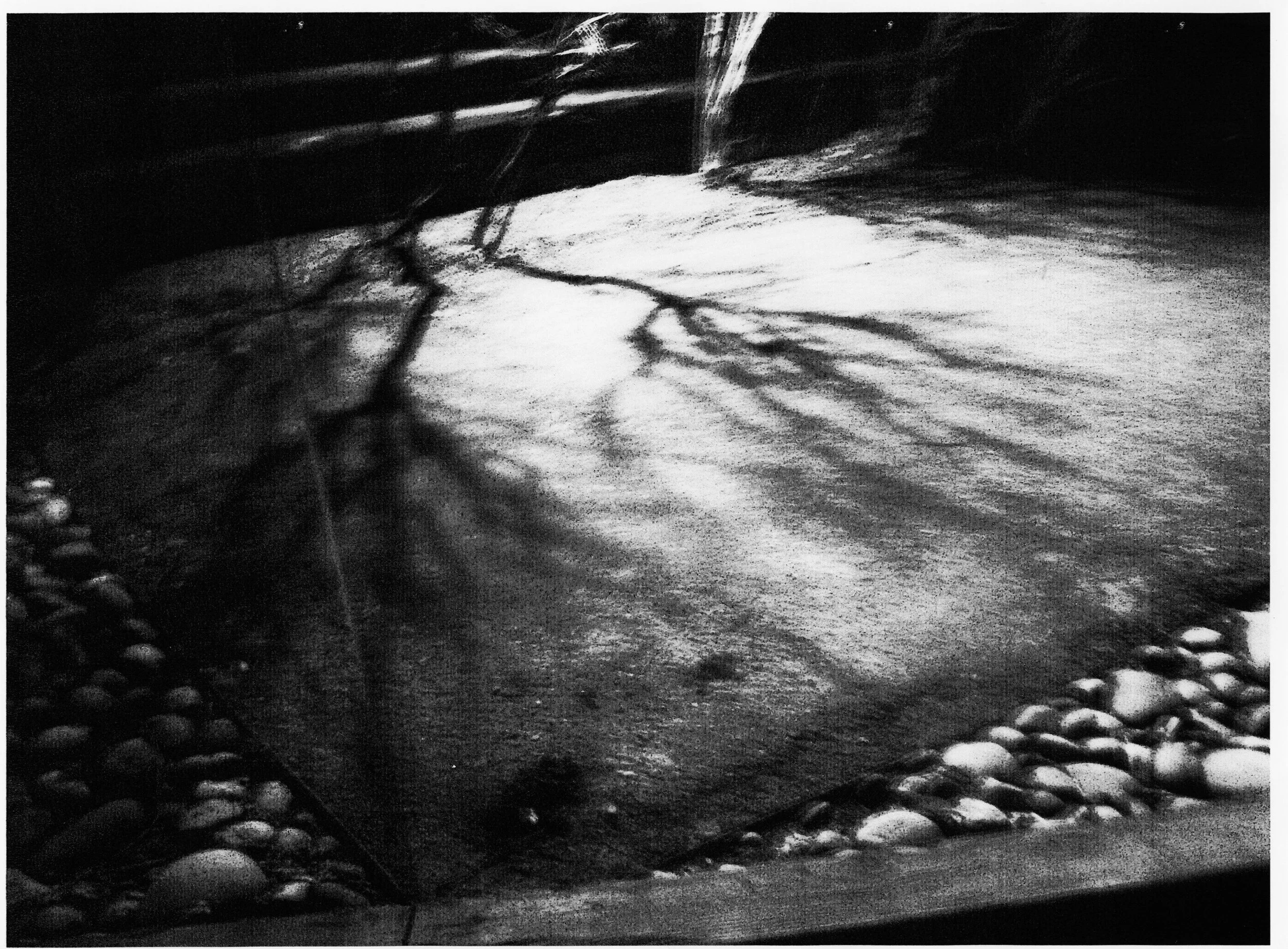 5.Shadow (2).jpg