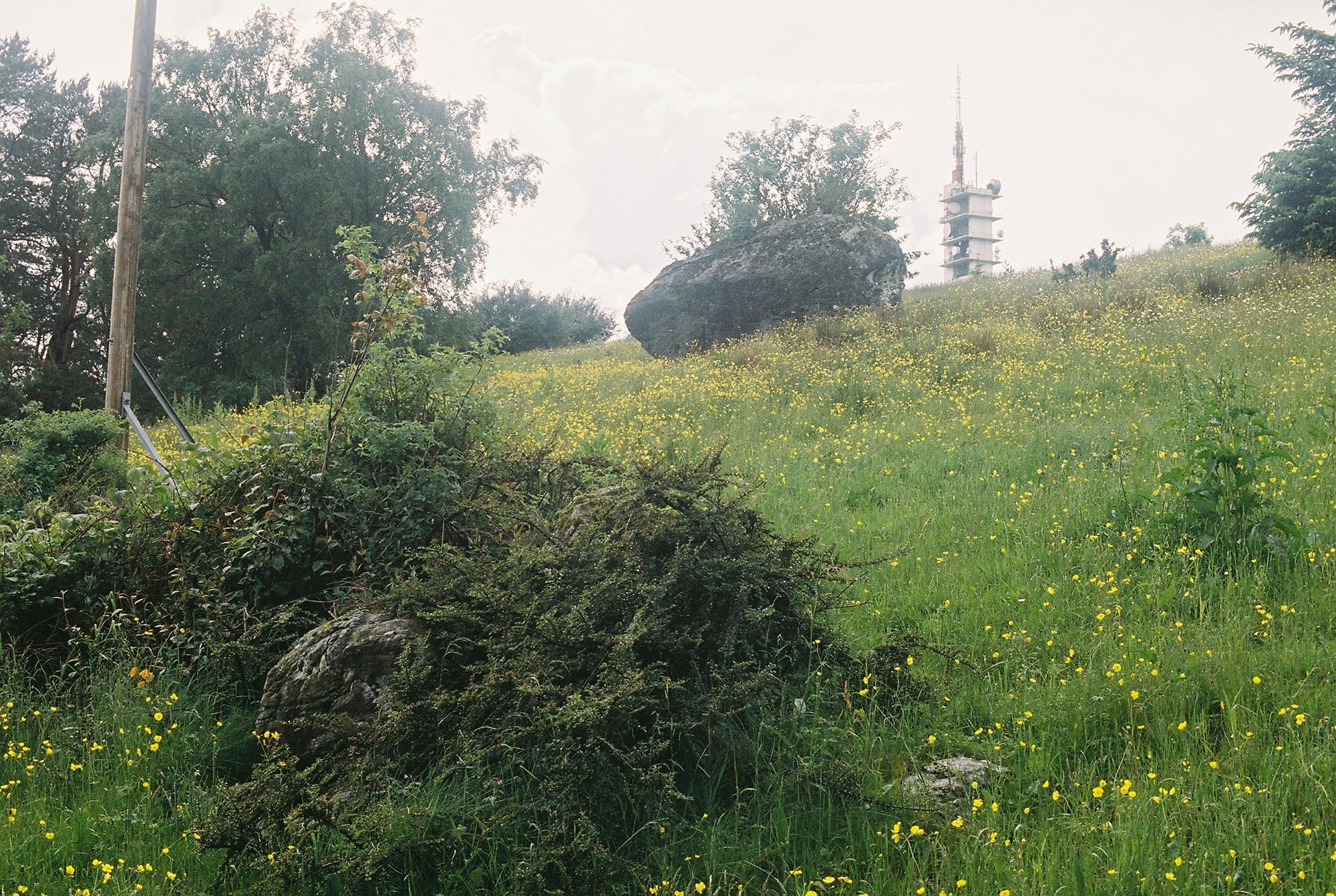 C000144-R1-24-25A.jpg