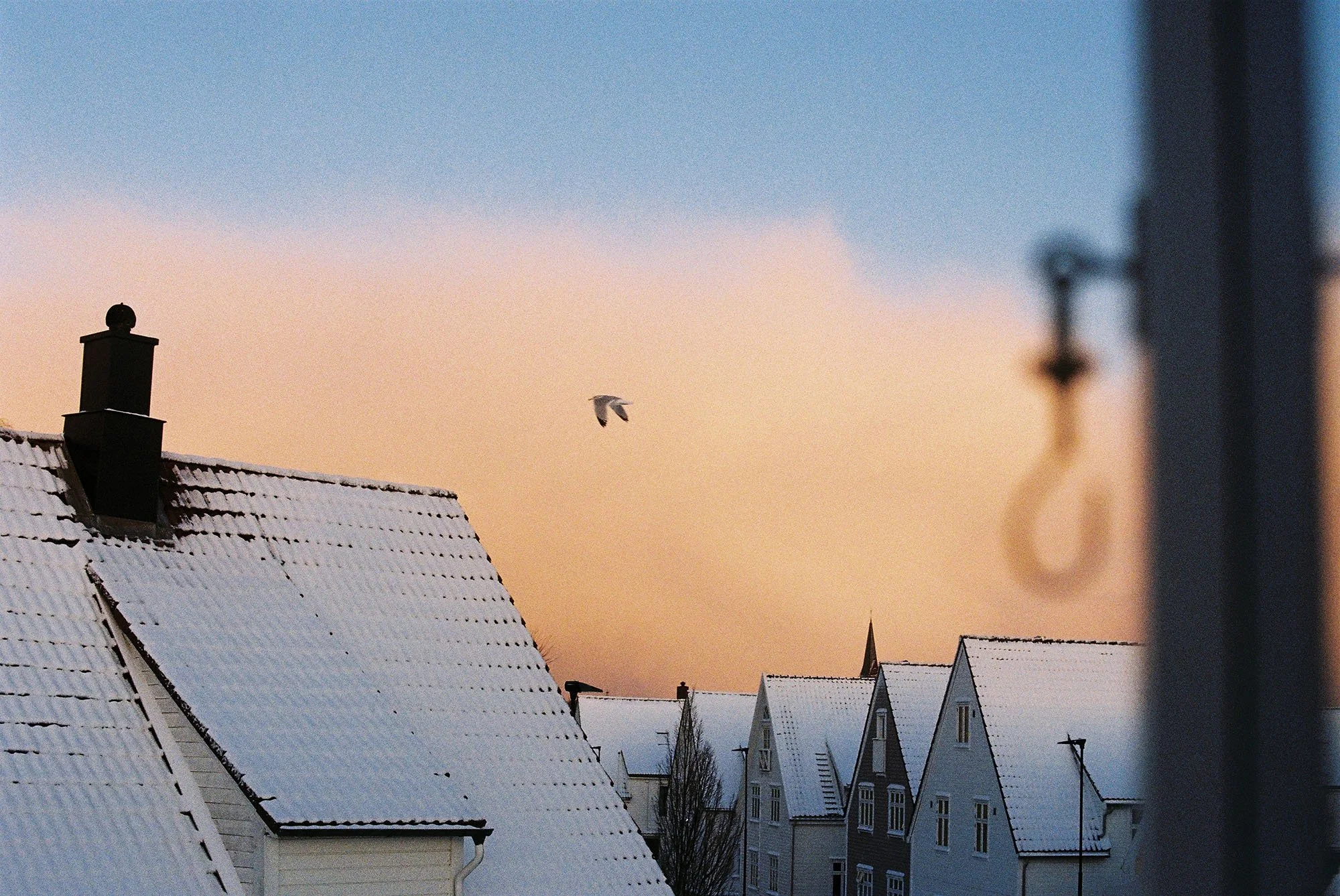 C000826-R1-23-24A.jpg