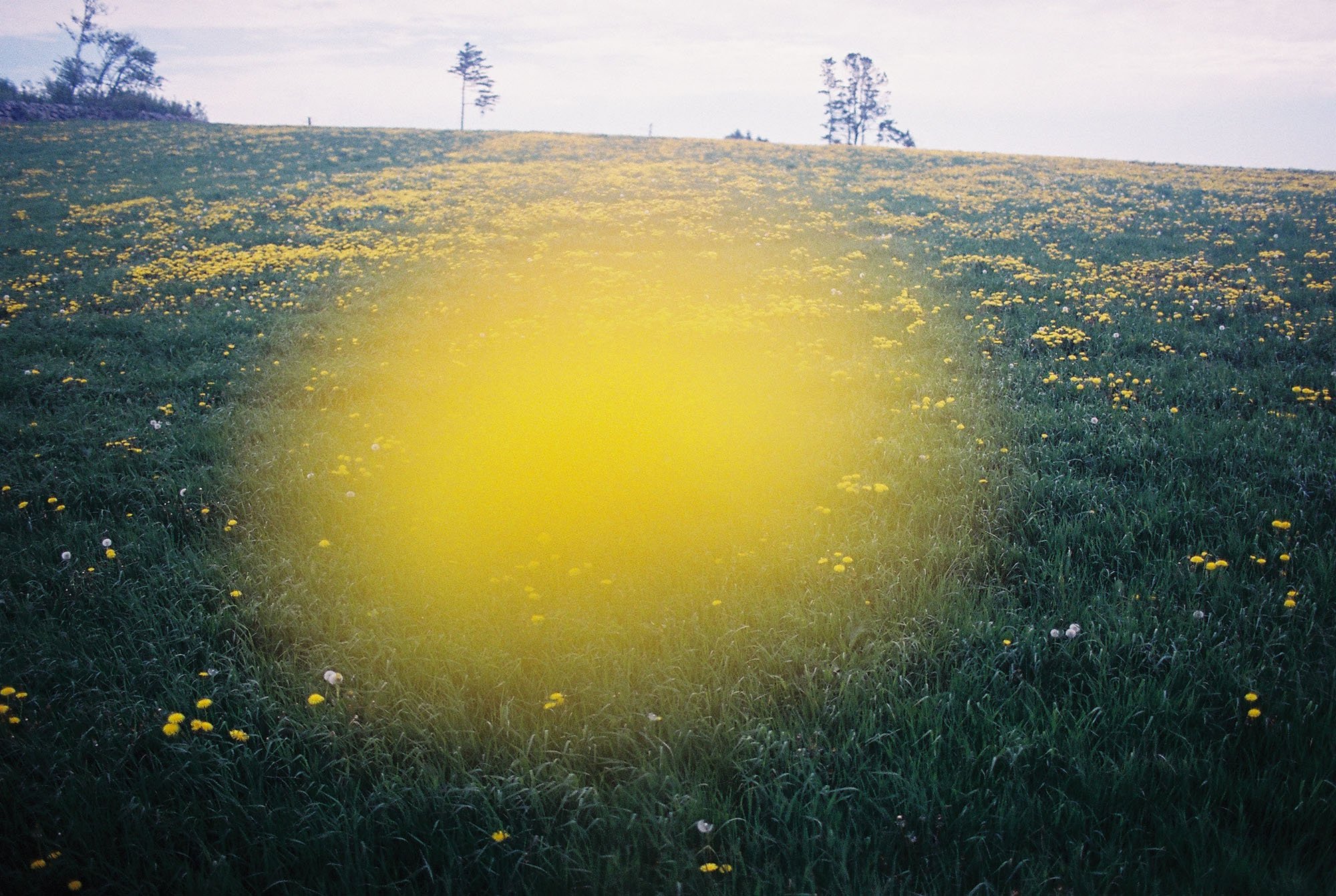 C000141-R1-03-4A.jpg
