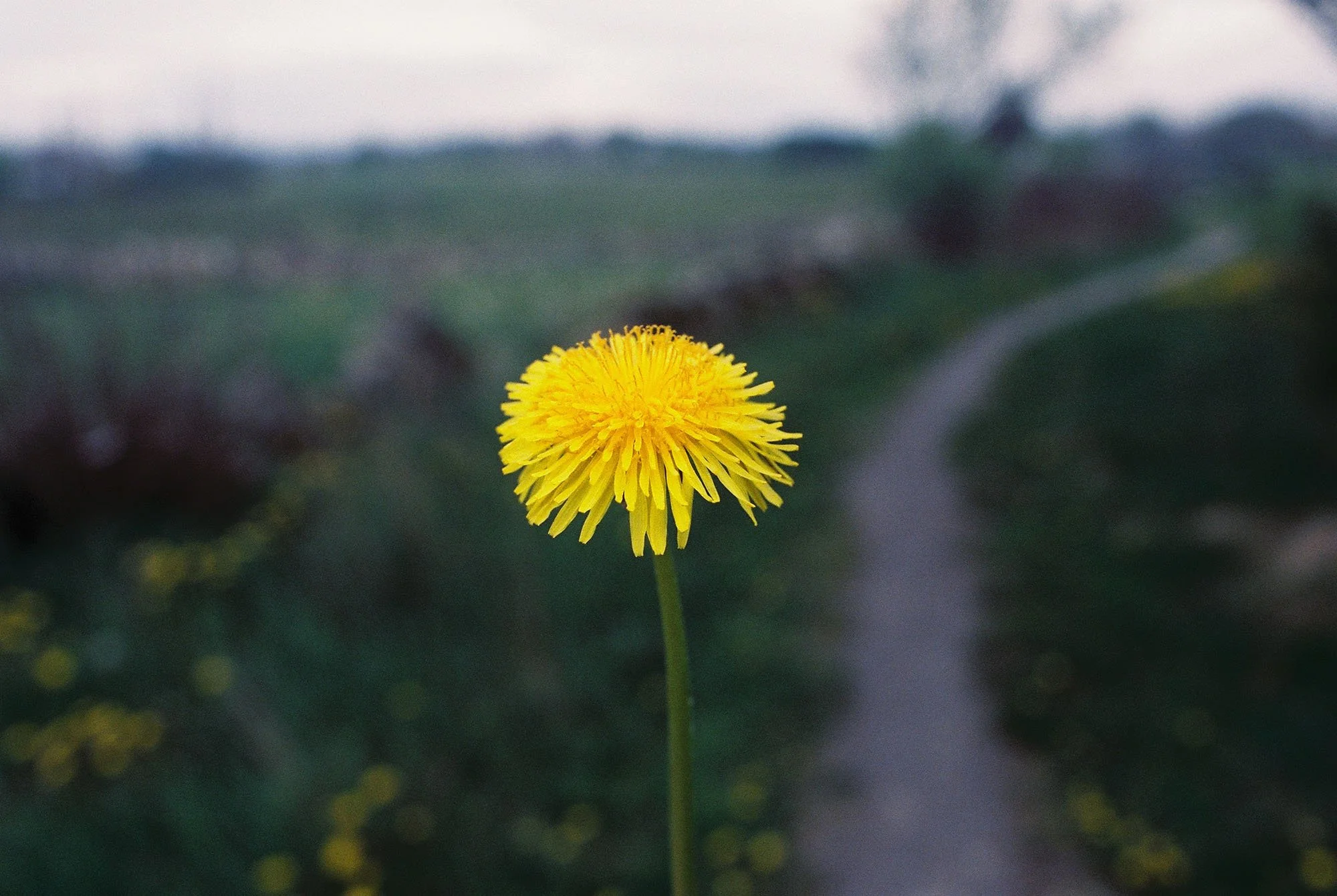 C000141-R1-06-7A.jpg