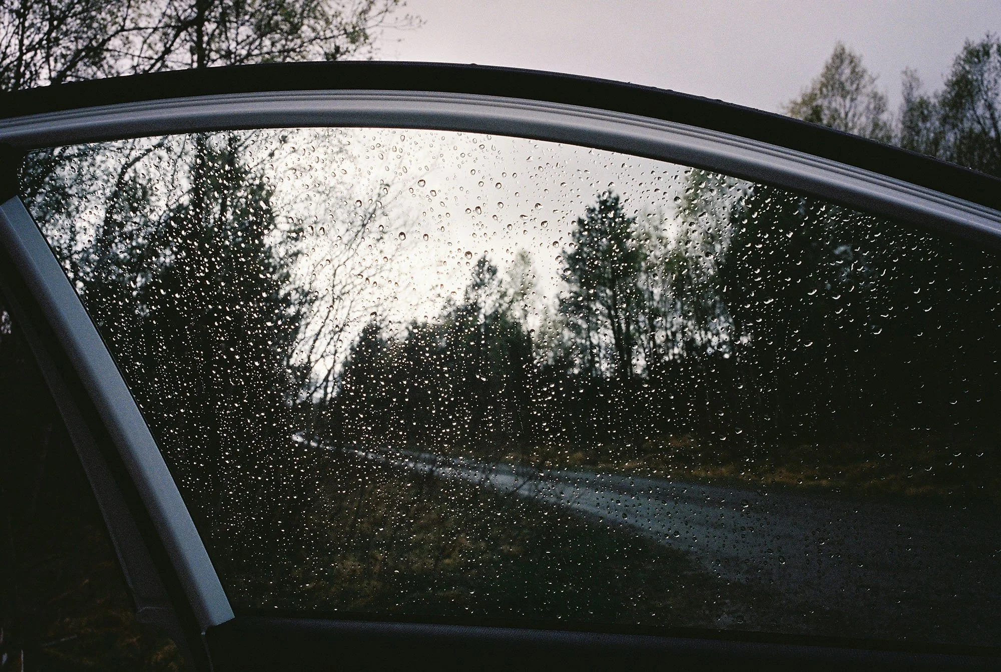 C000146-R1-29-29A.jpg
