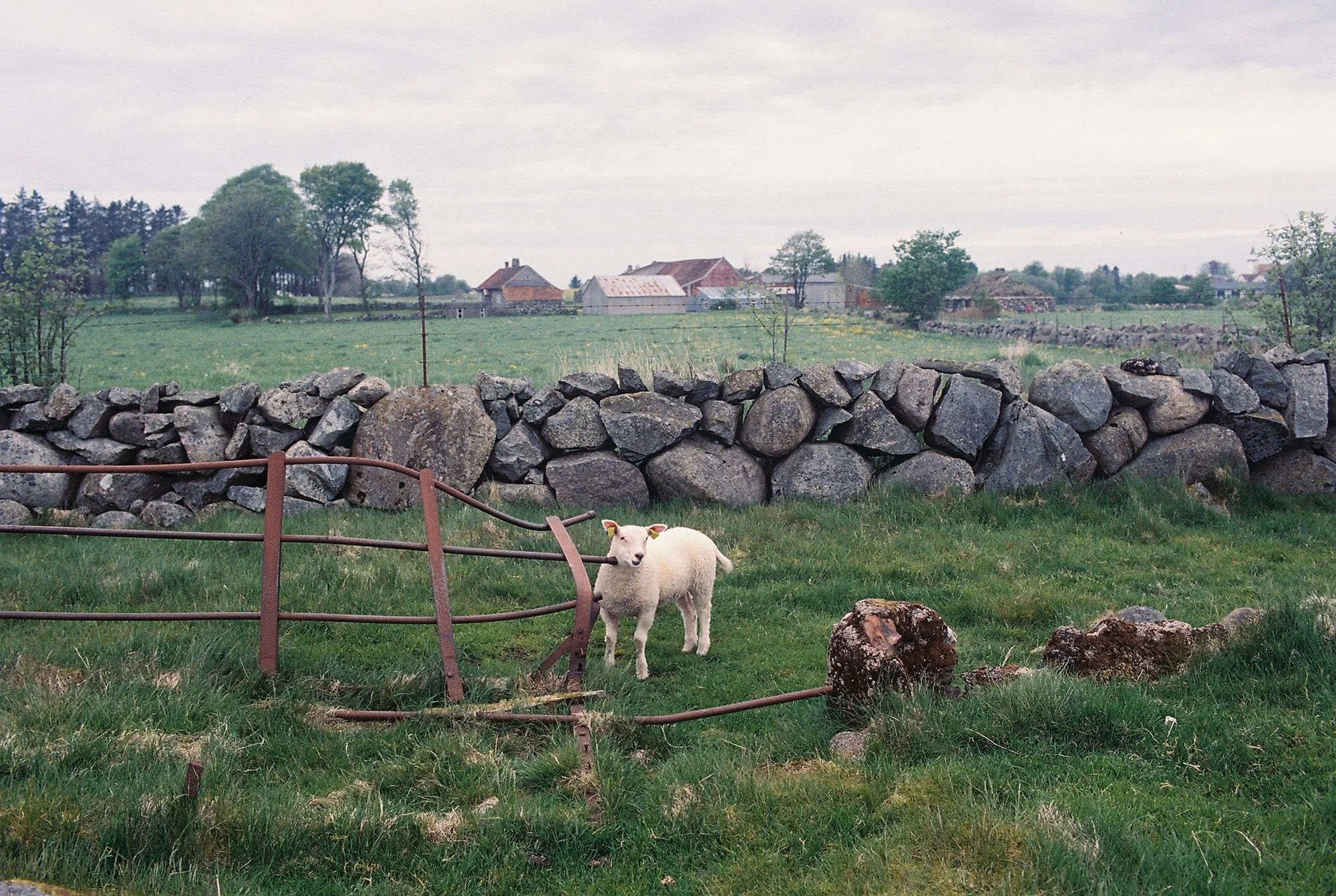 C000141-R1-28-29A.jpg