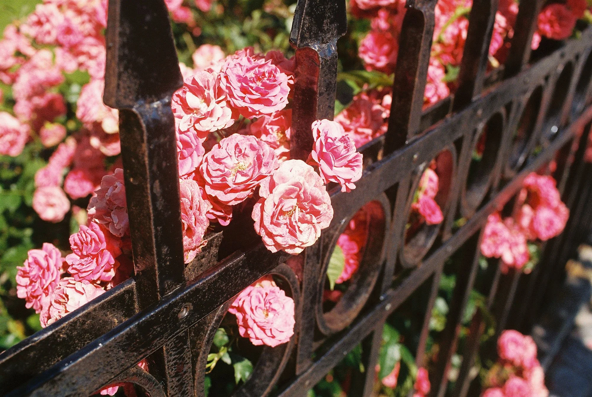 C000148-R1-16-17A.jpg