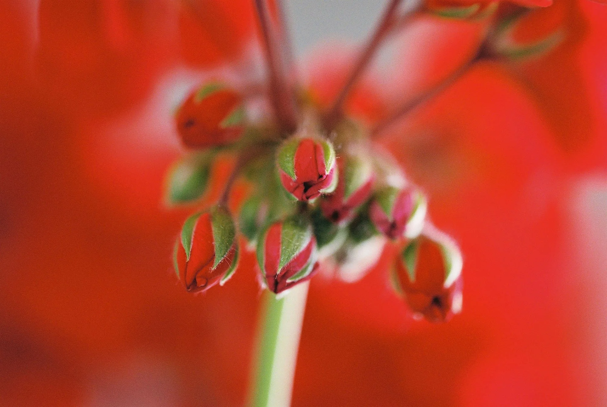 C000148-R1-28-29A.jpg