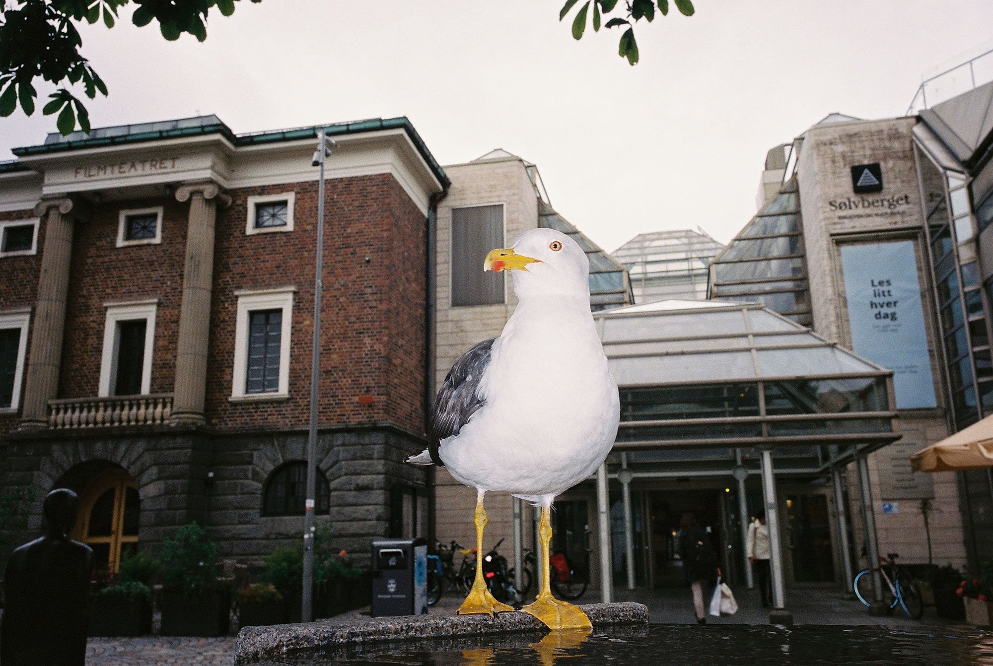 C000149-R1-05-31A.jpg