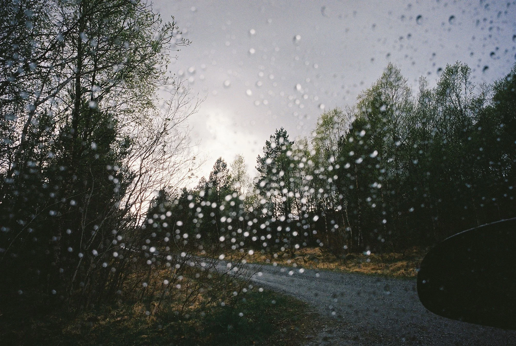 C000146-R1-25-25A.jpg